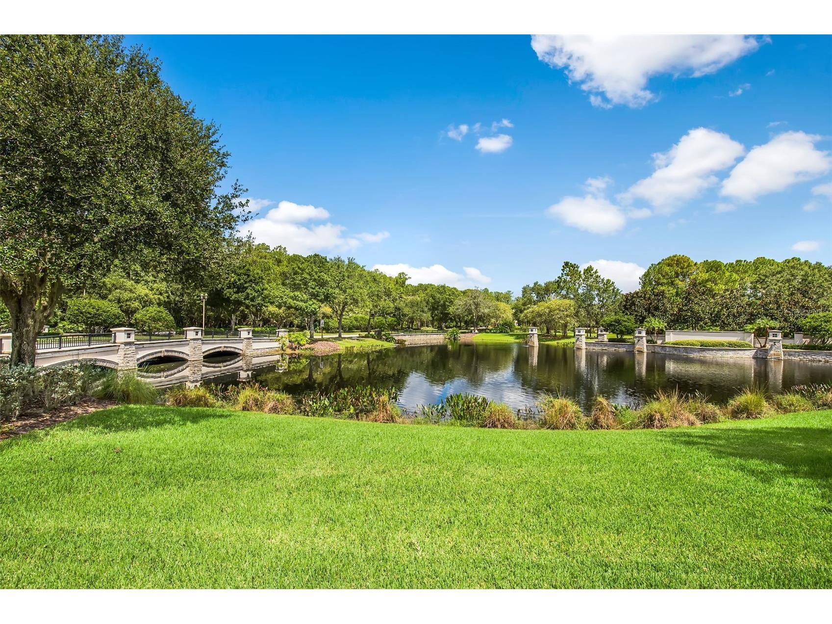 12003 San Chaliford Court Tampa FL 33626 TB8488480 image67