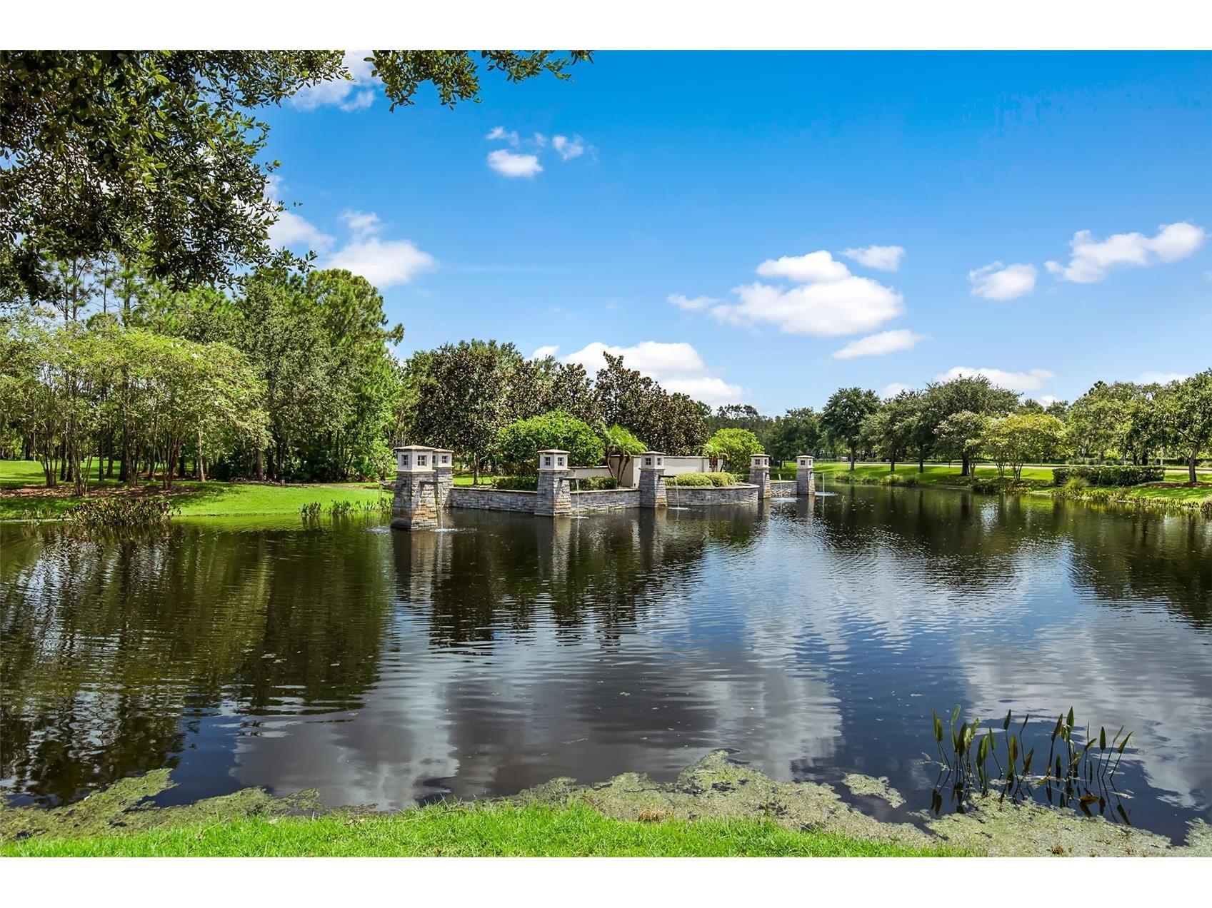 12003 San Chaliford Court Tampa FL 33626 TB8488480 image68