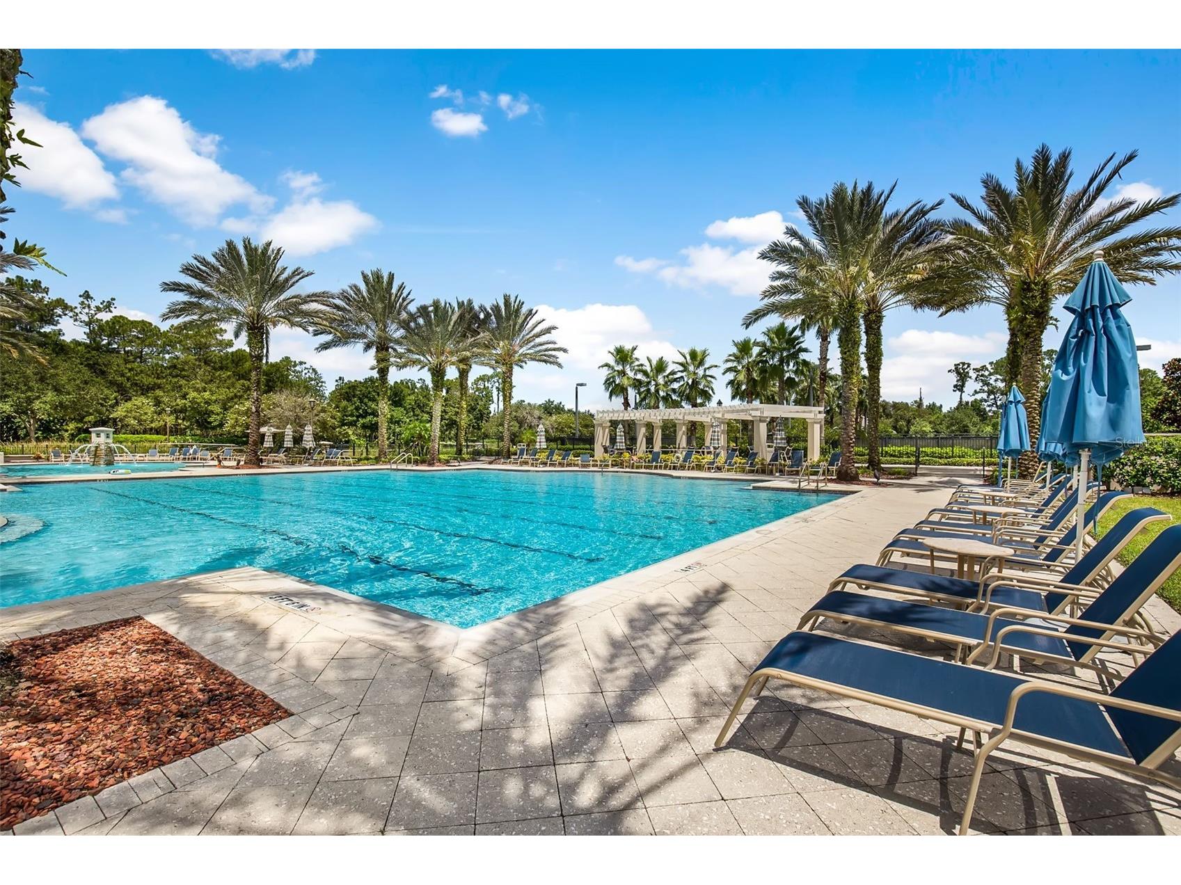 12003 San Chaliford Court Tampa FL 33626 TB8488480 image78