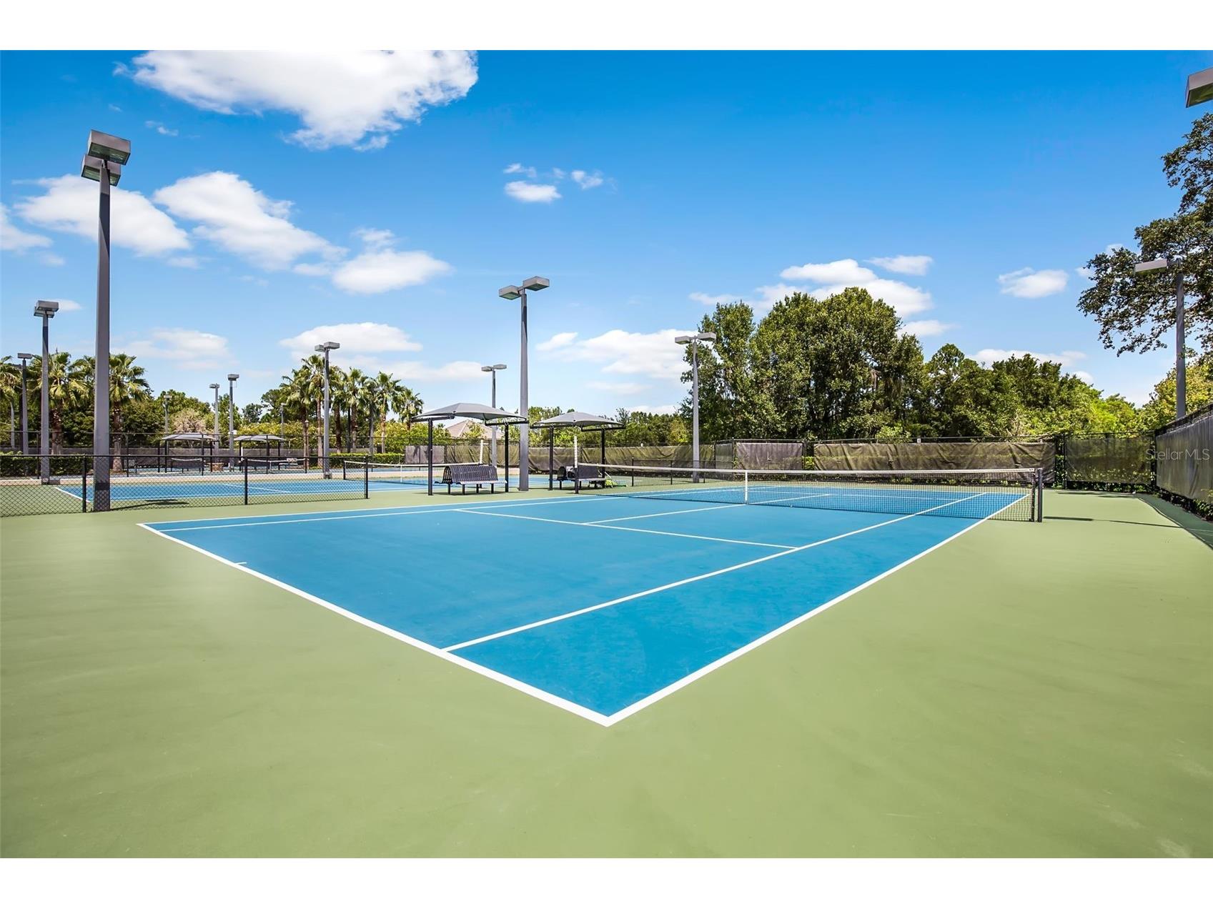12003 San Chaliford Court Tampa FL 33626 TB8488480 image95