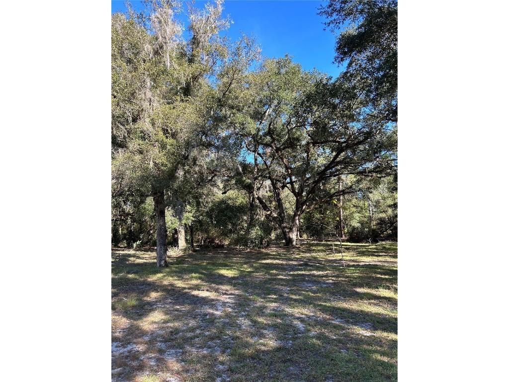 12003 SE 225th Drive Hawthorne FL 32640 GC526855 image5