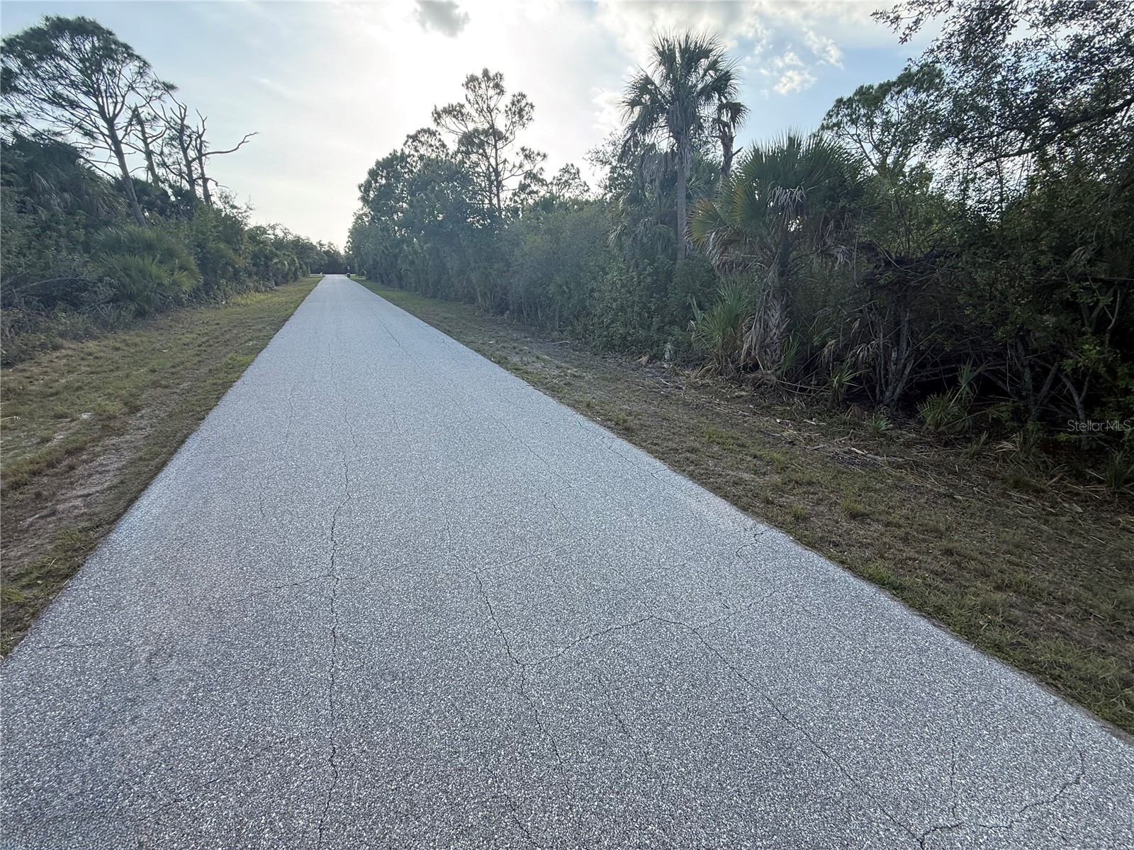 12004 Gladiola Avenue Port Charlotte FL 33981 C7526555 image2