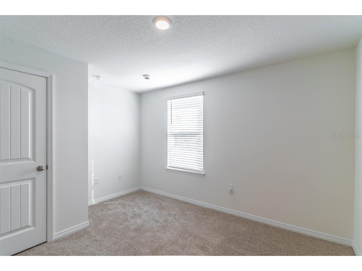 12004 Holystone Street Winter Garden FL 34787 O6357943 image17