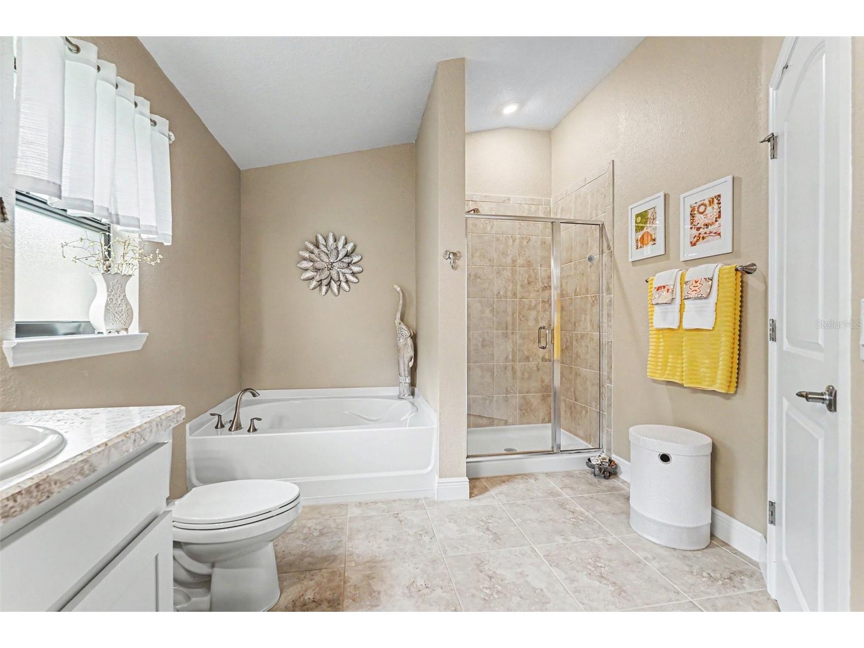 12004 Legacy Bright St Riverview FL 33578 TB8517447 image14