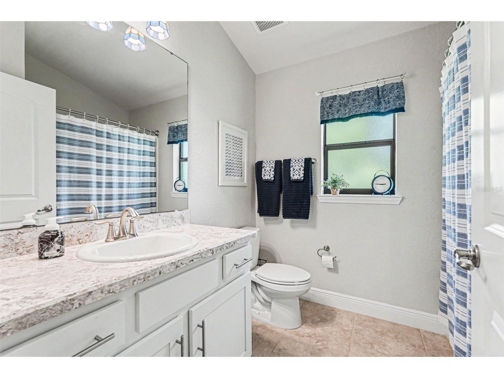 12004 Legacy Bright St Riverview FL 33578 TB8517447 image17