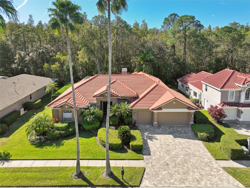 12004 Marblehead Drive Tampa FL 33626 T3484760 image1