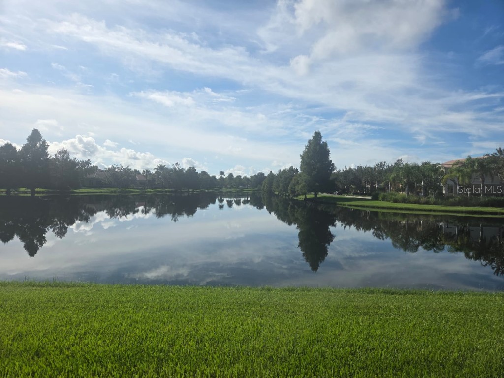 12004 Uleta Lane Orlando FL 32827 O6347169 image49