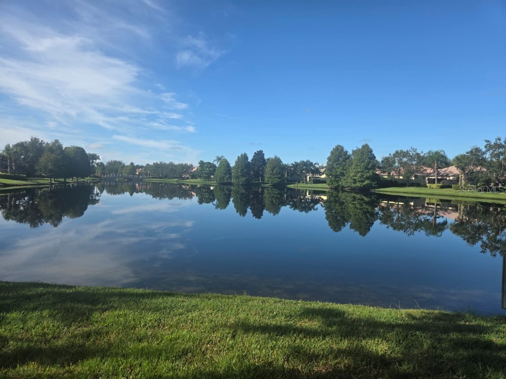 12004 Uleta Lane Orlando FL 32827 O6347169 image50