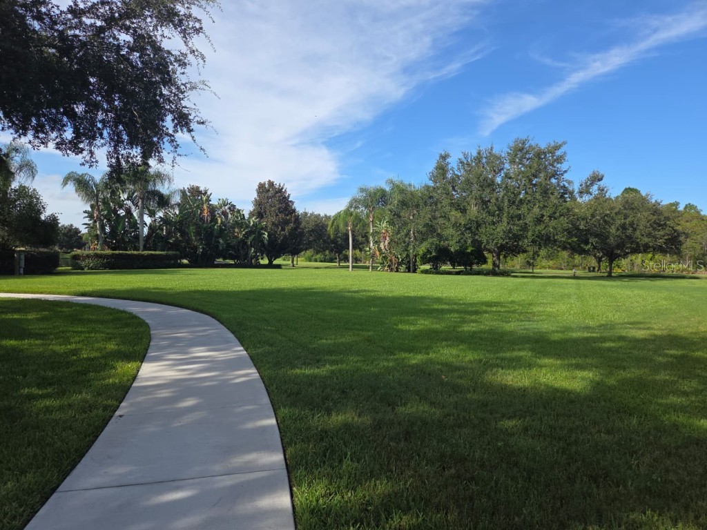 12004 Uleta Lane Orlando FL 32827 O6347169 image51