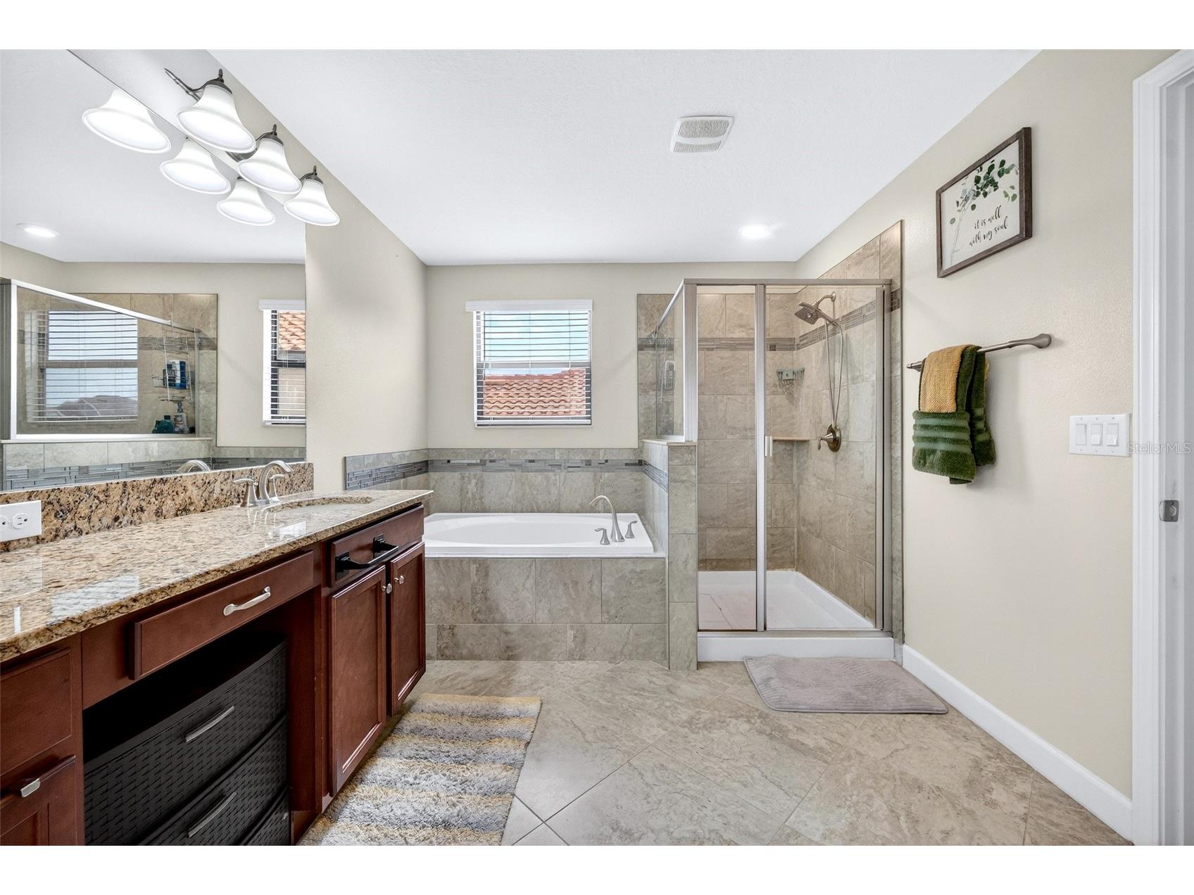 12005 Cinnamon Fern Drive Riverview FL 33579 TB8512961 image38