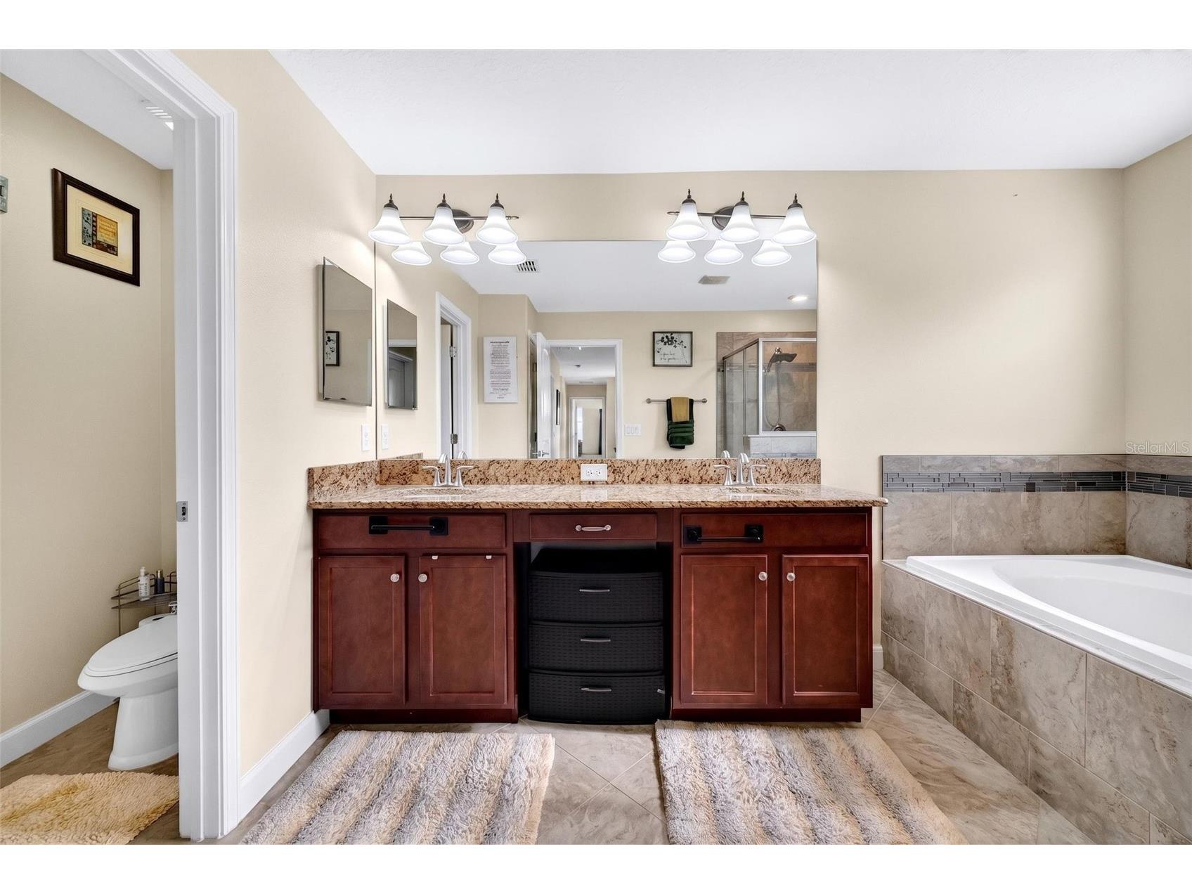 12005 Cinnamon Fern Drive Riverview FL 33579 TB8512961 image39