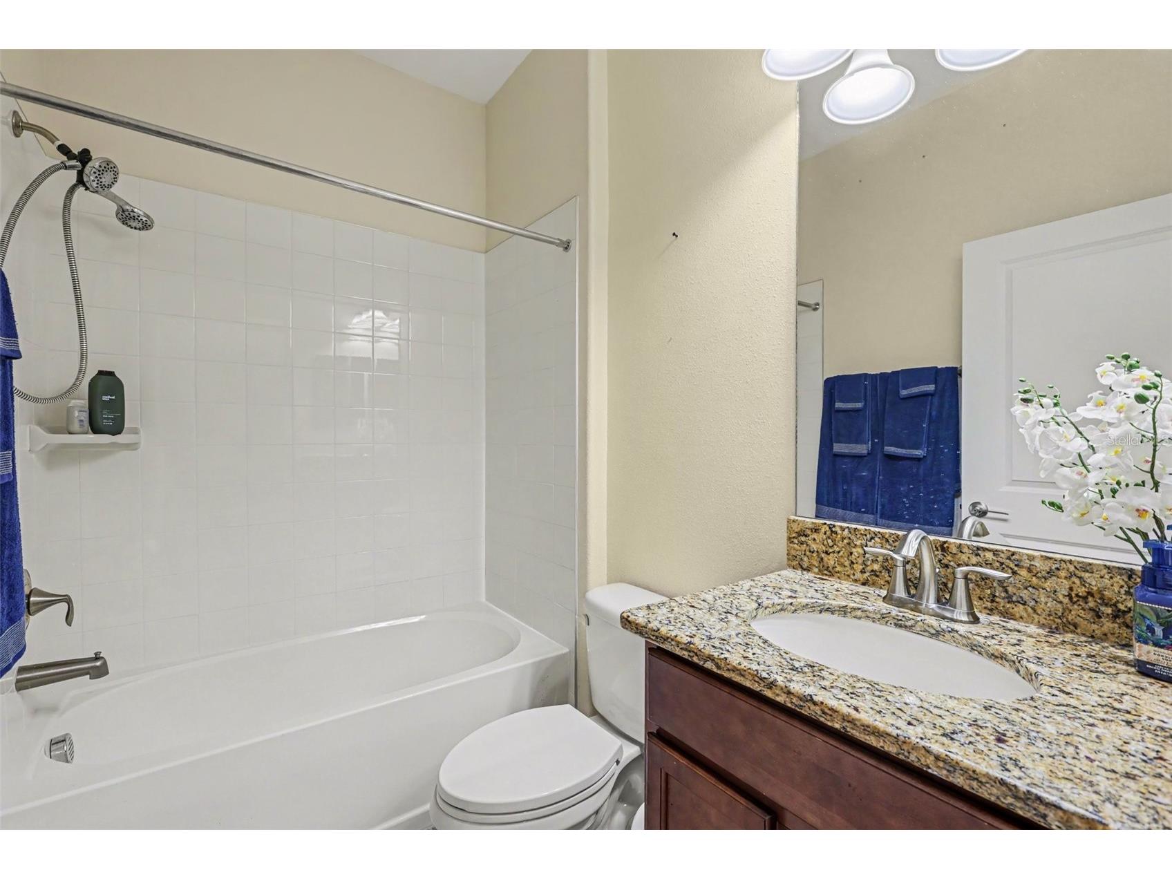 12005 Cinnamon Fern Drive Riverview FL 33579 TB8532586 image19
