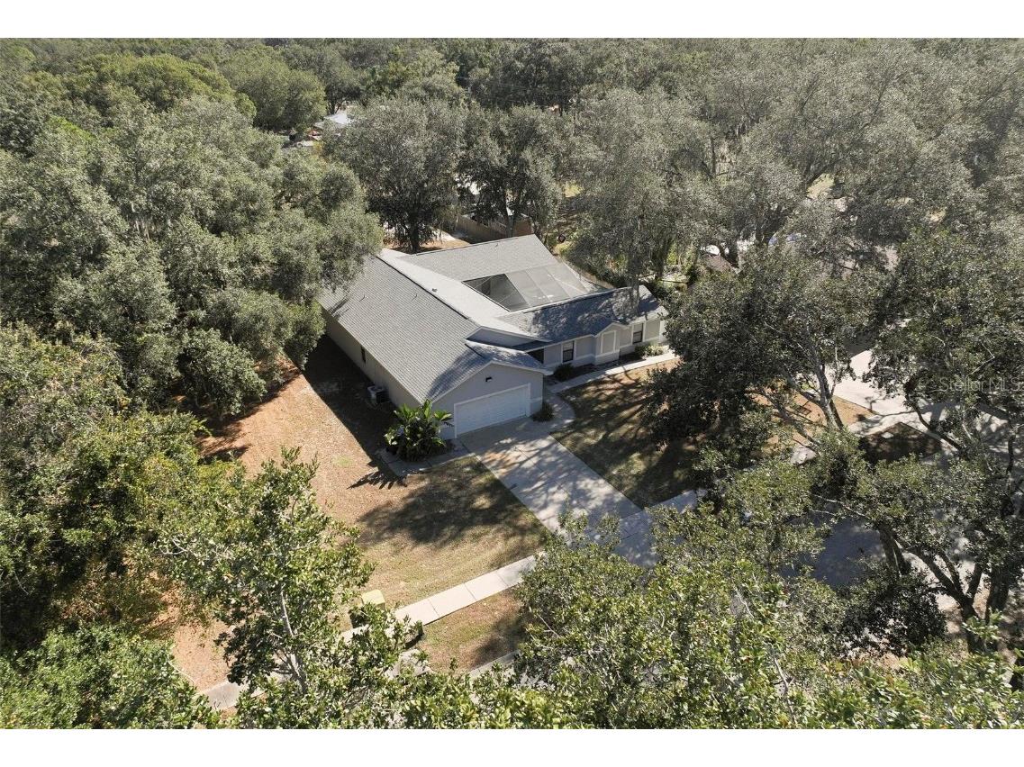 12005 Deerfoot Place Thonotosassa FL 33592 TB8455873 image46