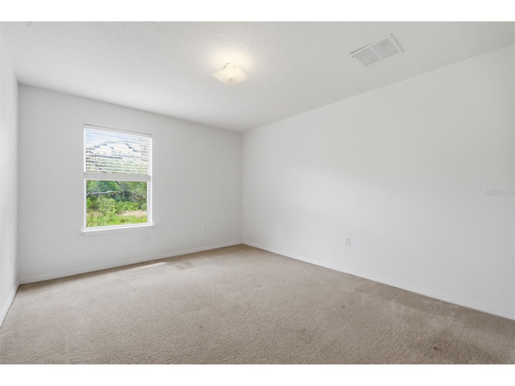 12005 Infinity Drive New Port Richey FL 34654 TB8500139 image34