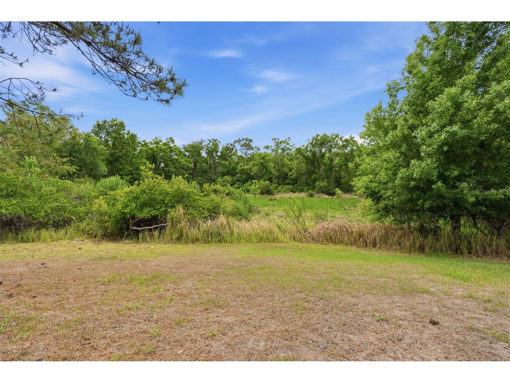 12005 Infinity Drive New Port Richey FL 34654 TB8500139 image43