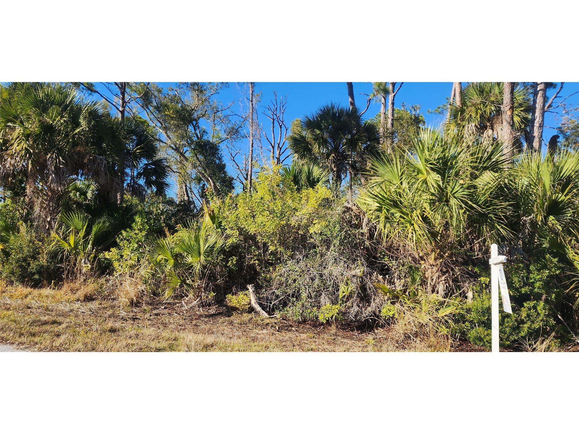 12006 Coleman Avenue Port Charlotte FL 33981 D6146062 image10