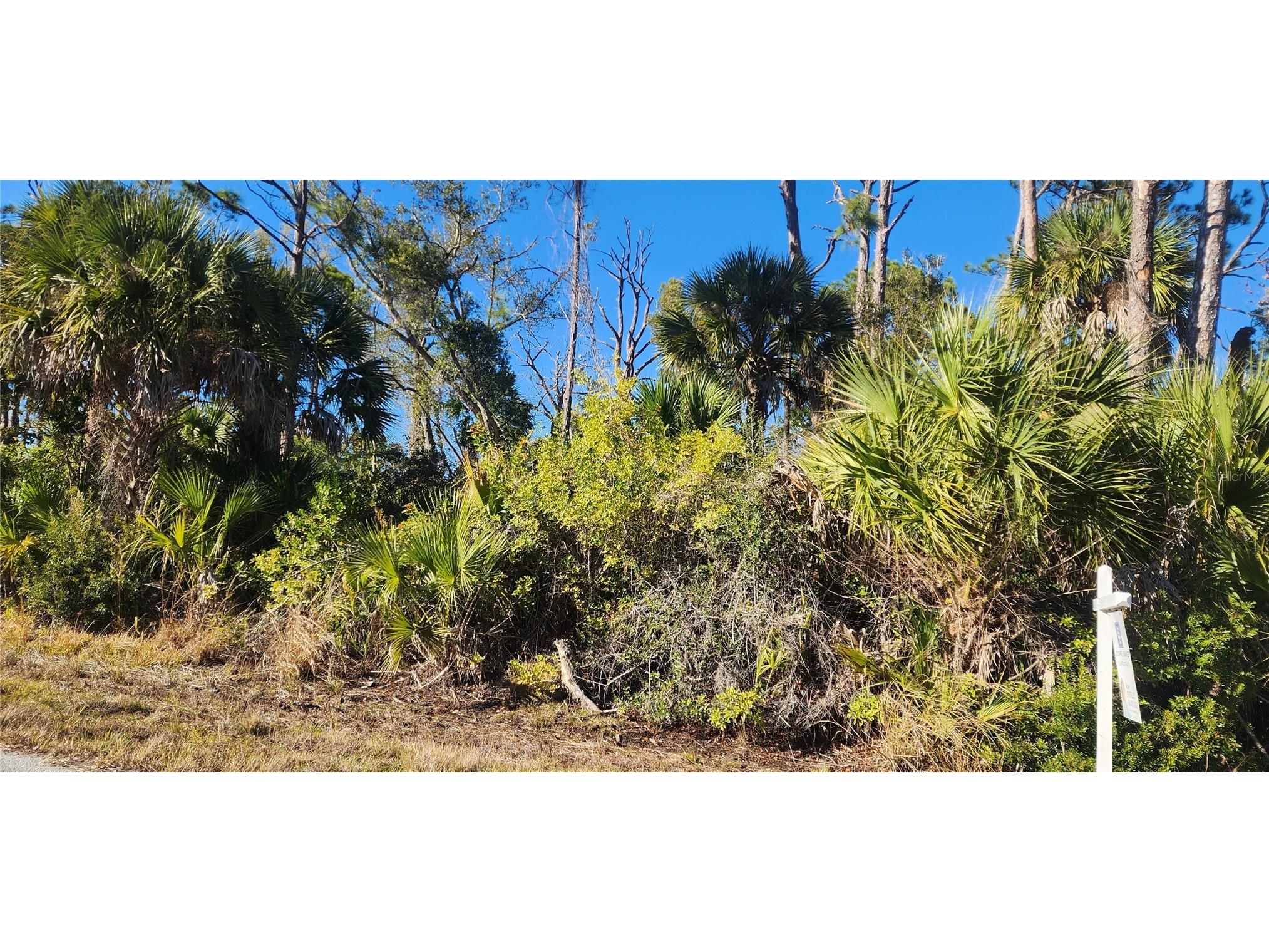 12006 Coleman Avenue Port Charlotte FL 33981 D6146062 image11