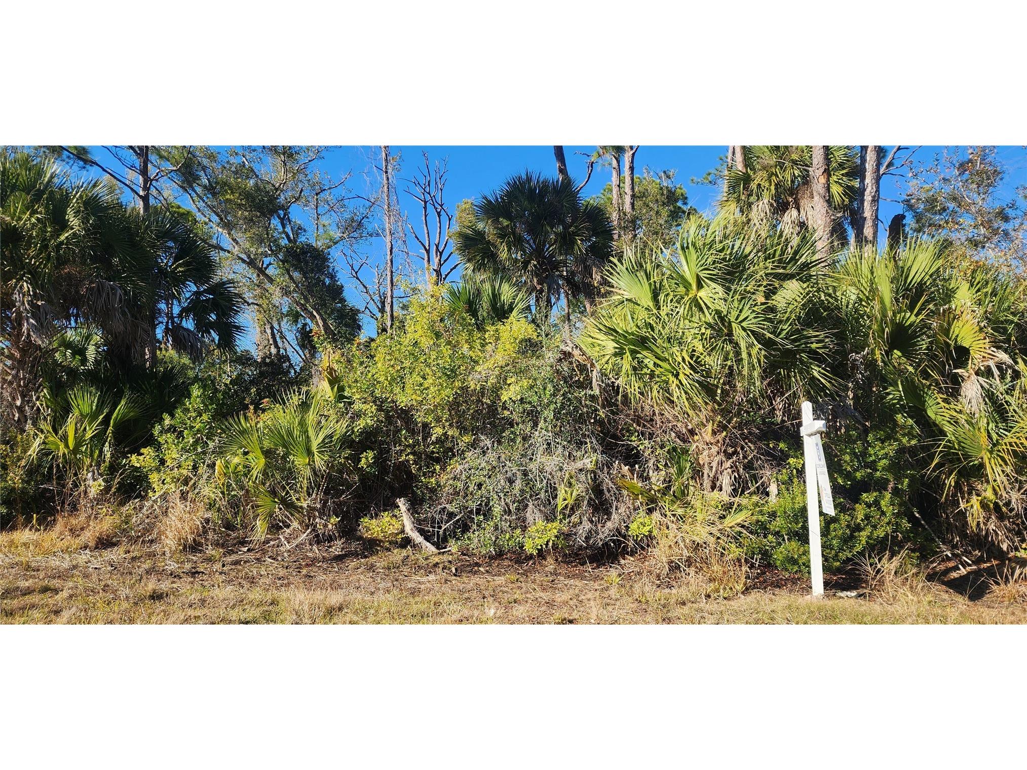 12006 Coleman Avenue Port Charlotte FL 33981 D6146062 image3