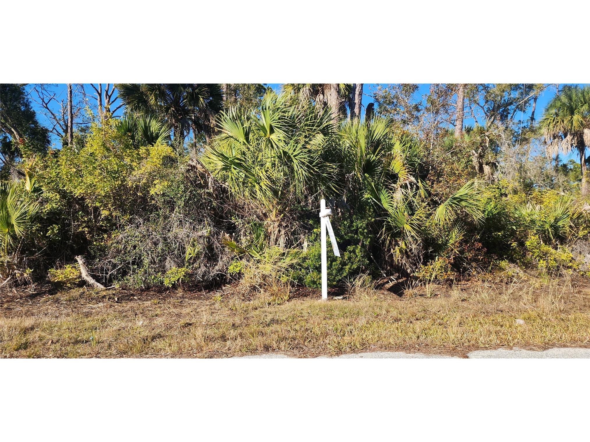 12006 Coleman Avenue Port Charlotte FL 33981 D6146062 image4