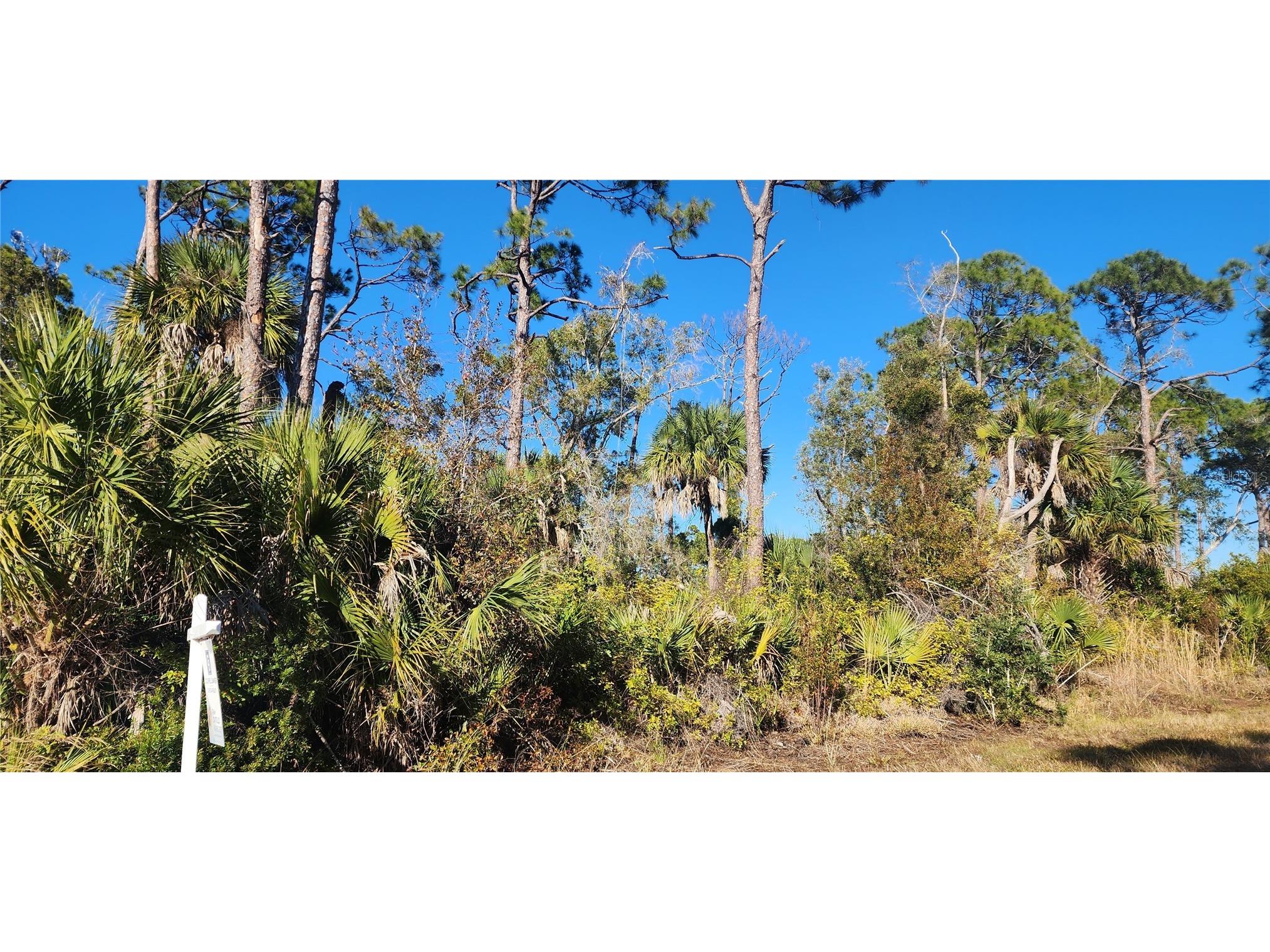 12006 Coleman Avenue Port Charlotte FL 33981 D6146062 image6