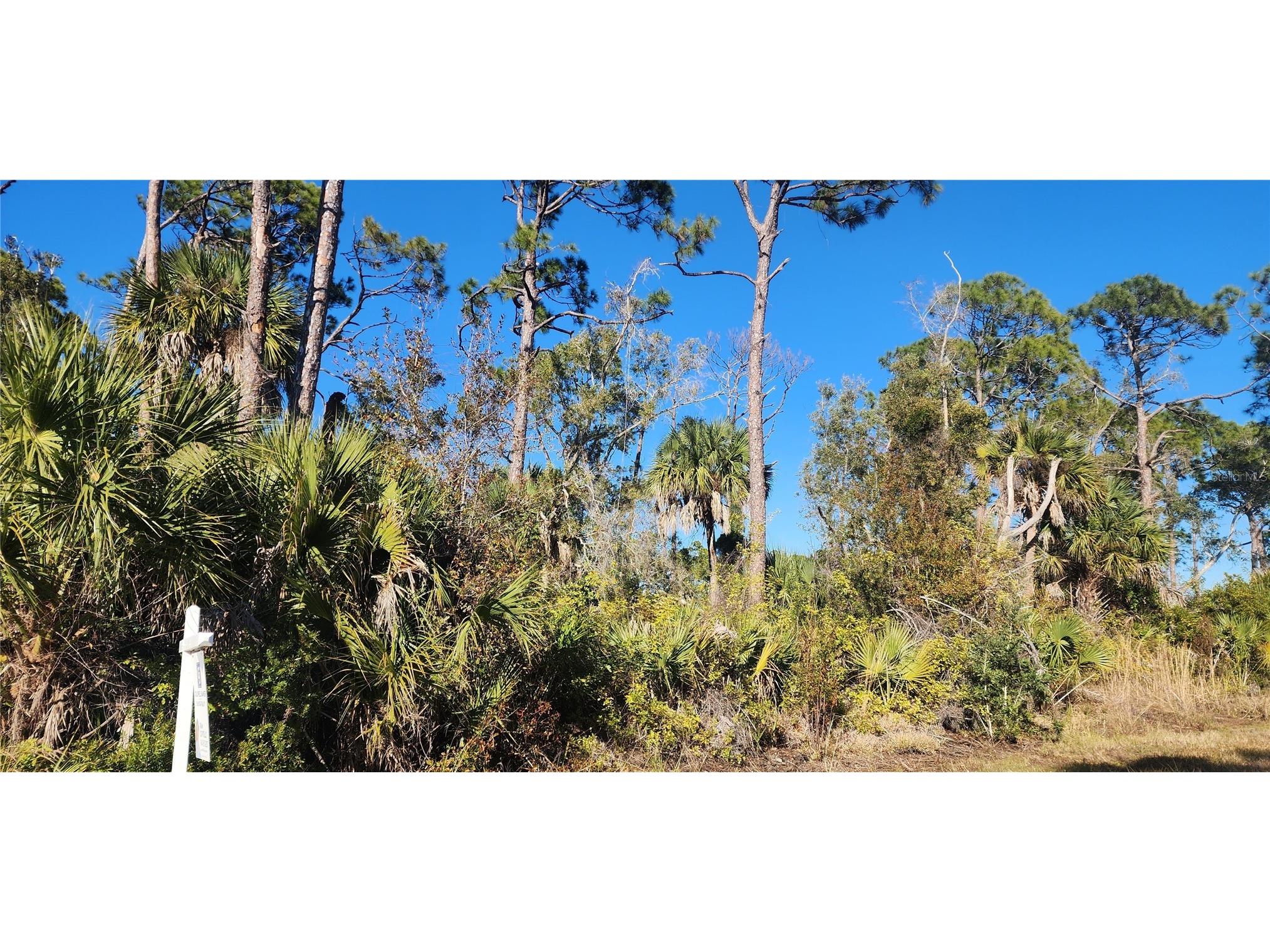 12006 Coleman Avenue Port Charlotte FL 33981 D6146062 image7