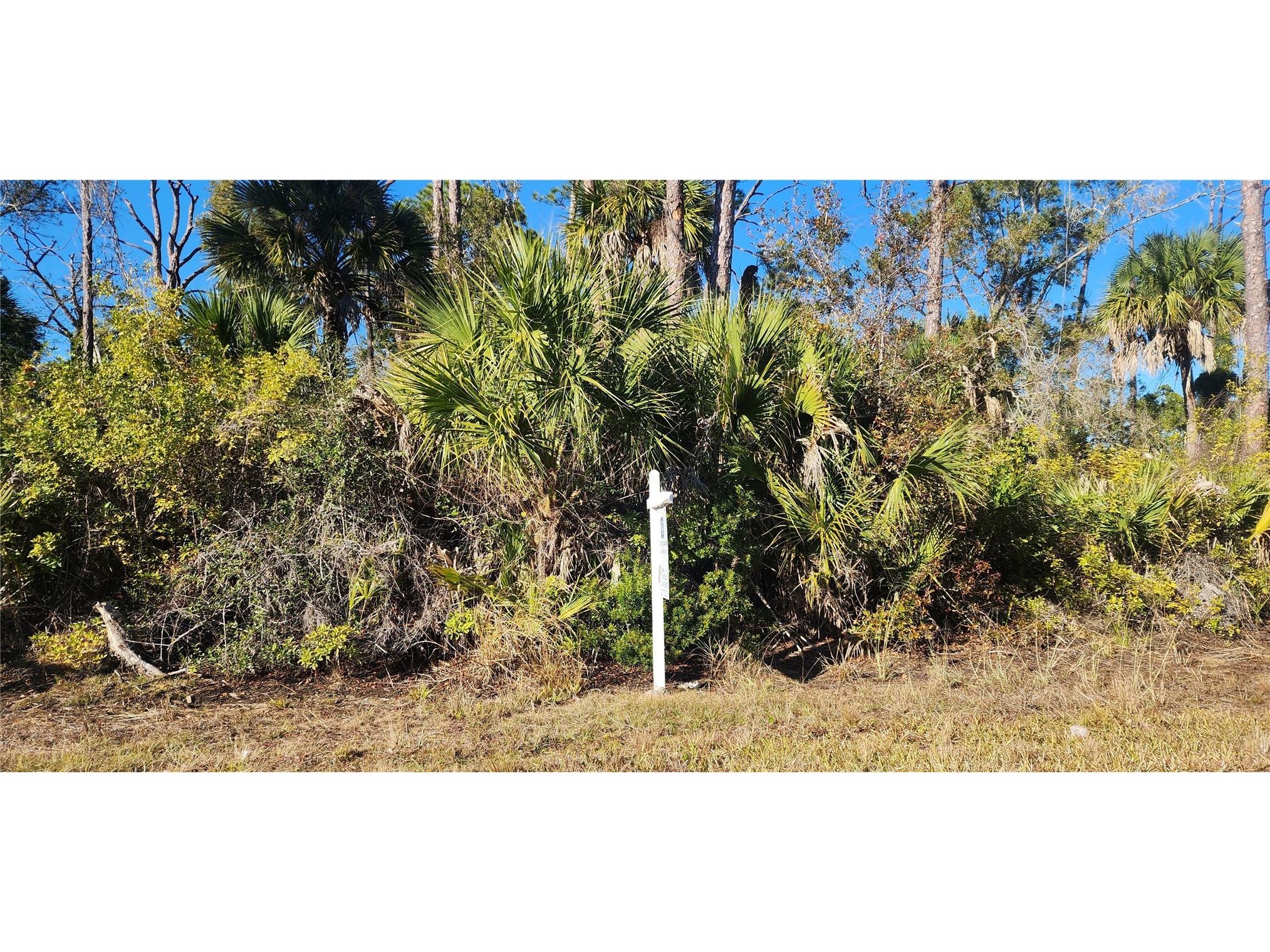 12006 Coleman Avenue Port Charlotte FL 33981 D6146062 image8