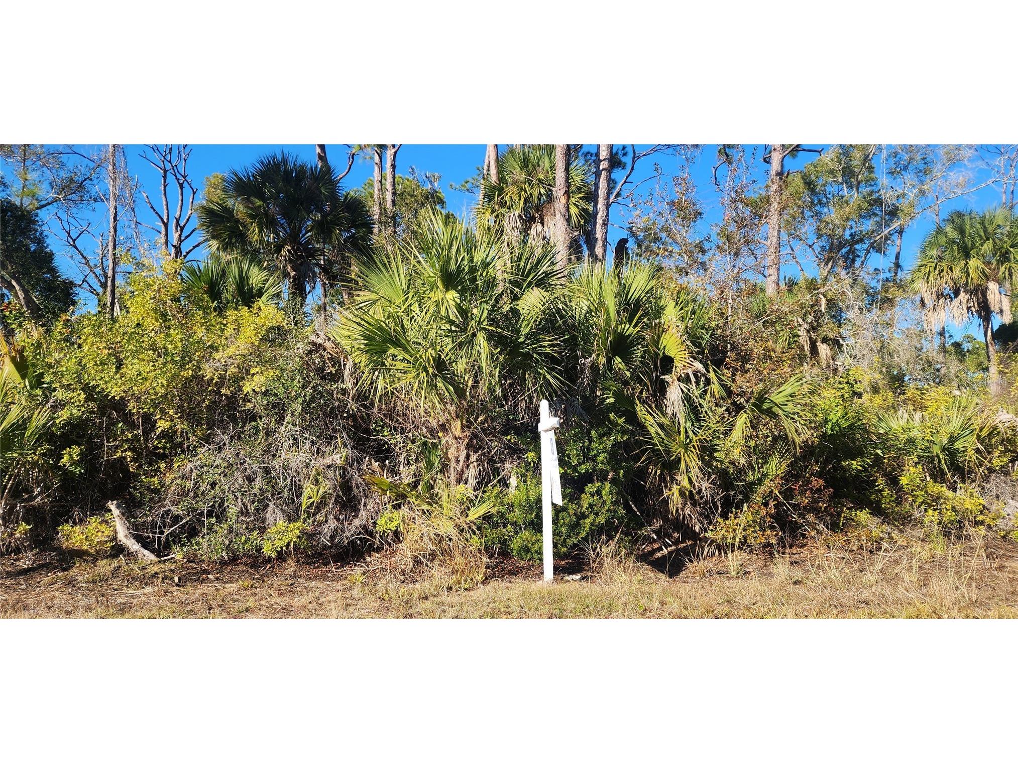 12006 Coleman Avenue Port Charlotte FL 33981 D6146062 image9