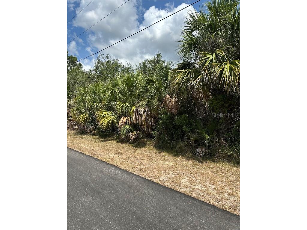 12006 Grouse Avenue Port Charlotte FL 33981 C7509568 image3