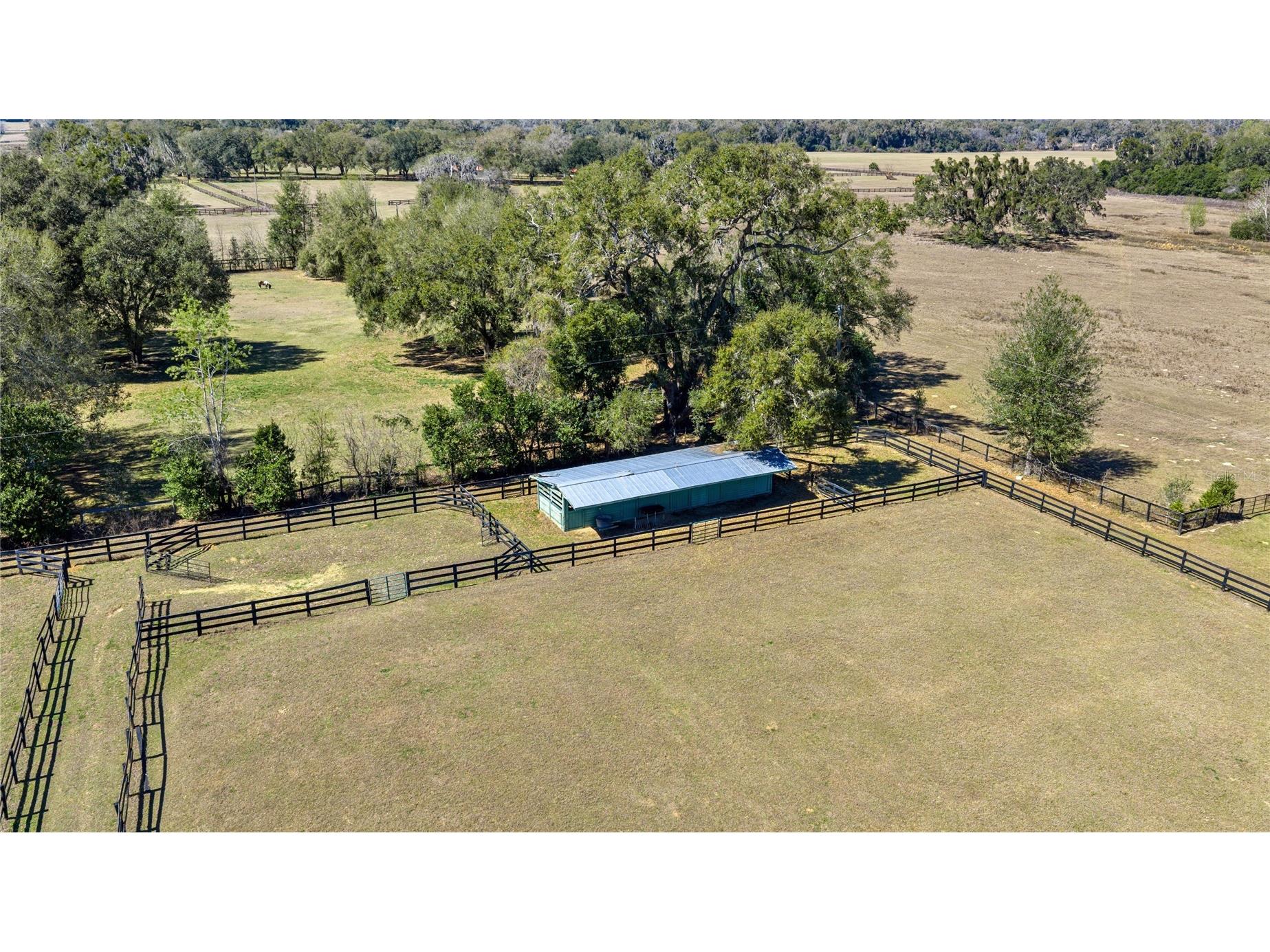 12006 N Magnolia Avenue Ocala FL 34475 OM720173 image8