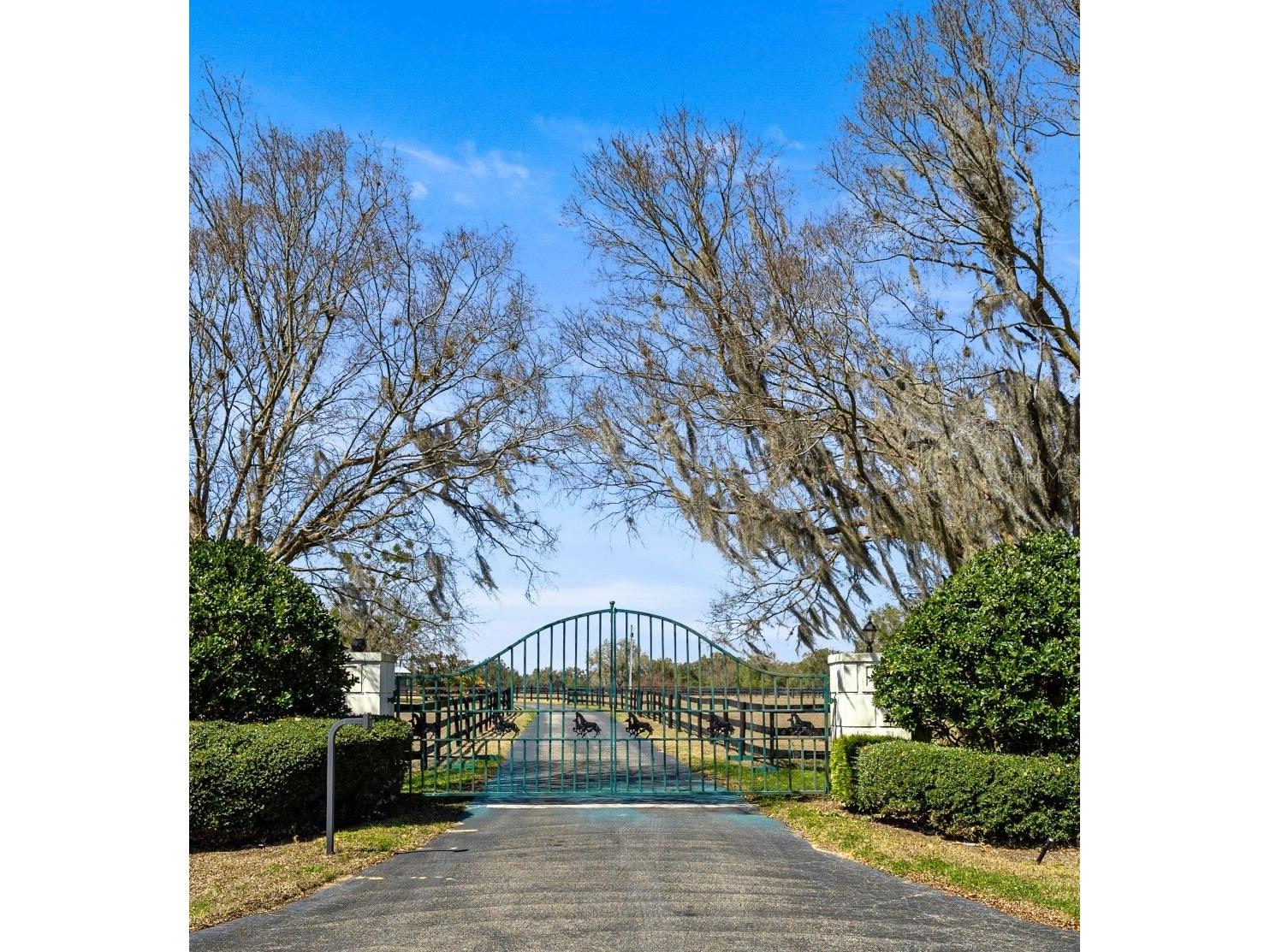 12006 N Magnolia Avenue Ocala FL 34475 OM720173 image9