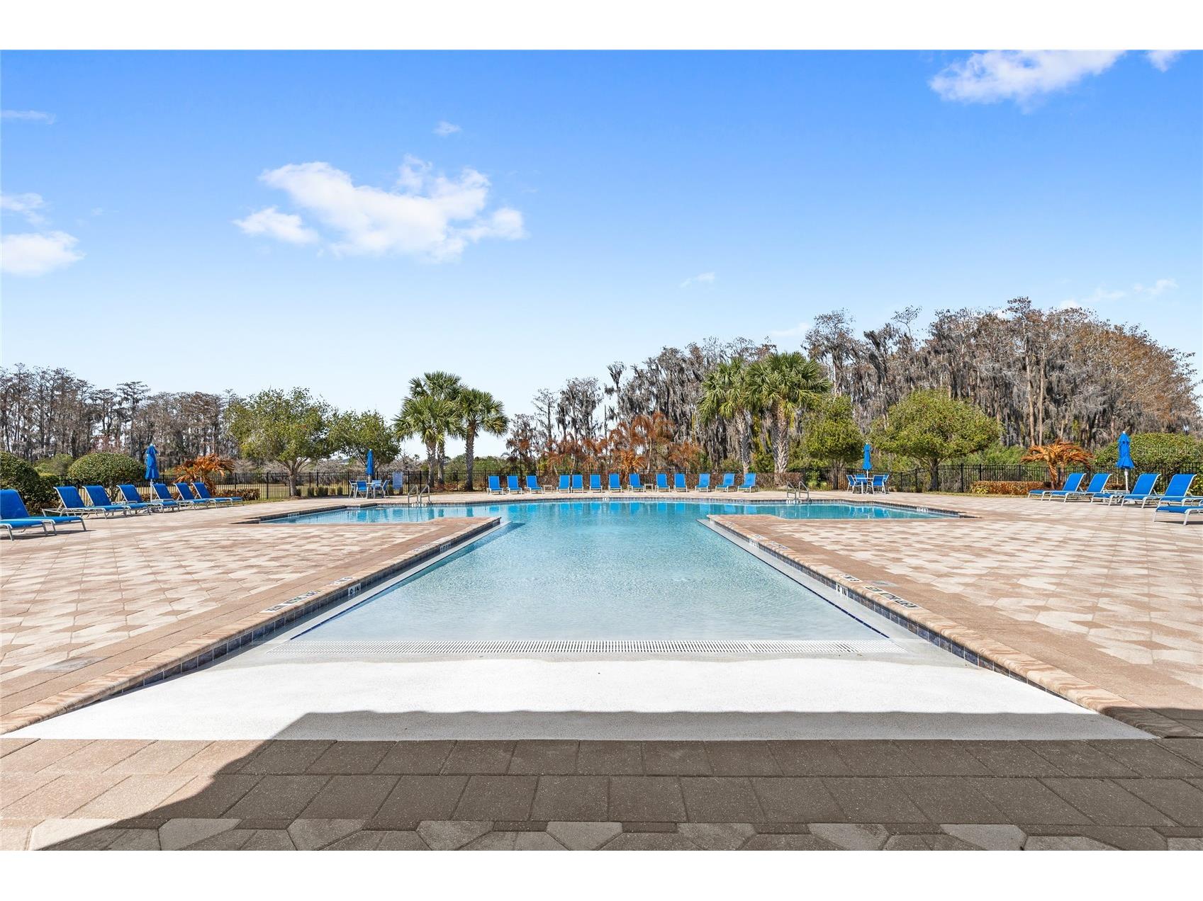 12006 Sawgrass Reserve Boulevard Orlando FL 32824 O6386095 image34