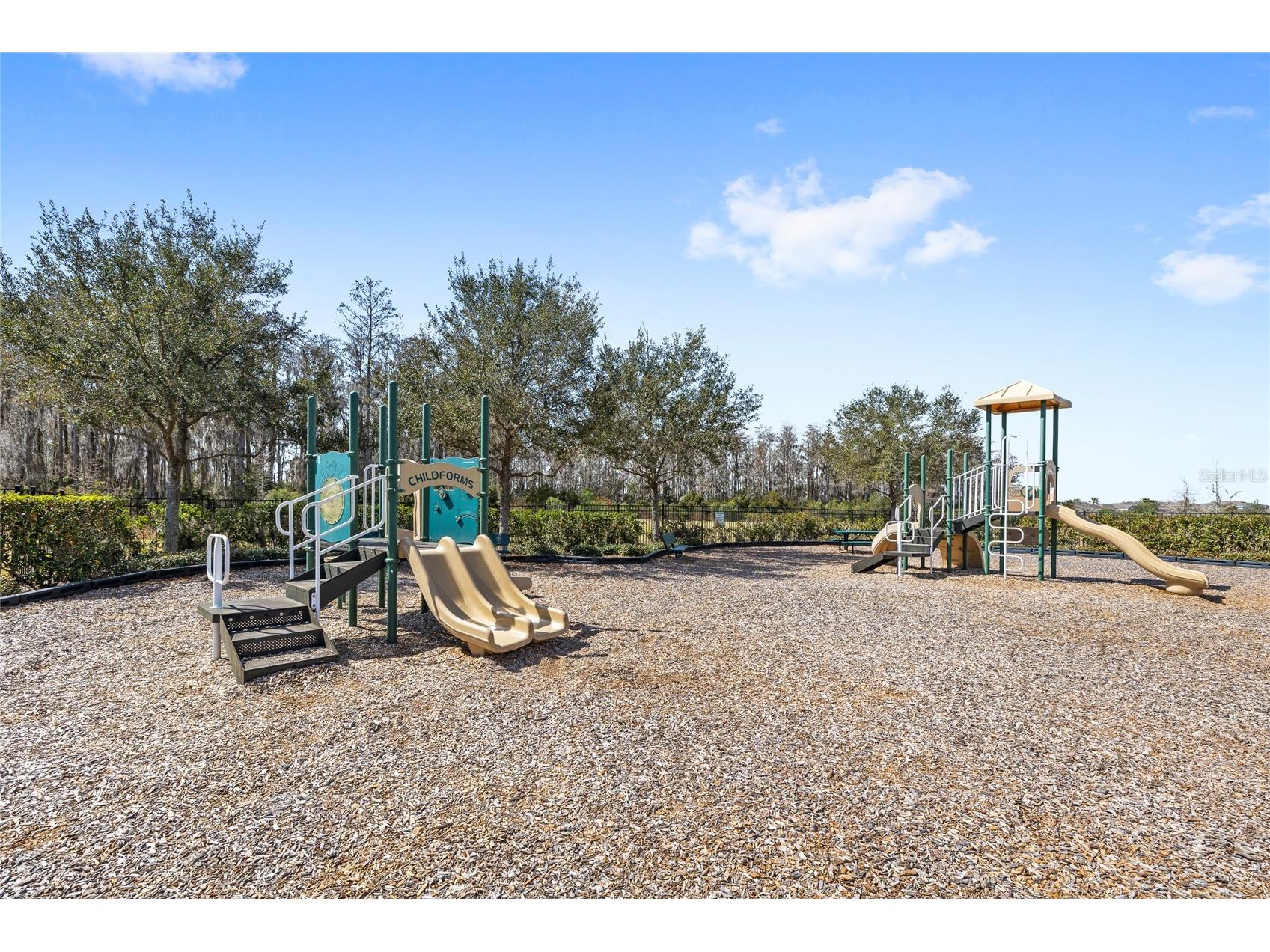 12006 Sawgrass Reserve Boulevard Orlando FL 32824 O6386095 image35