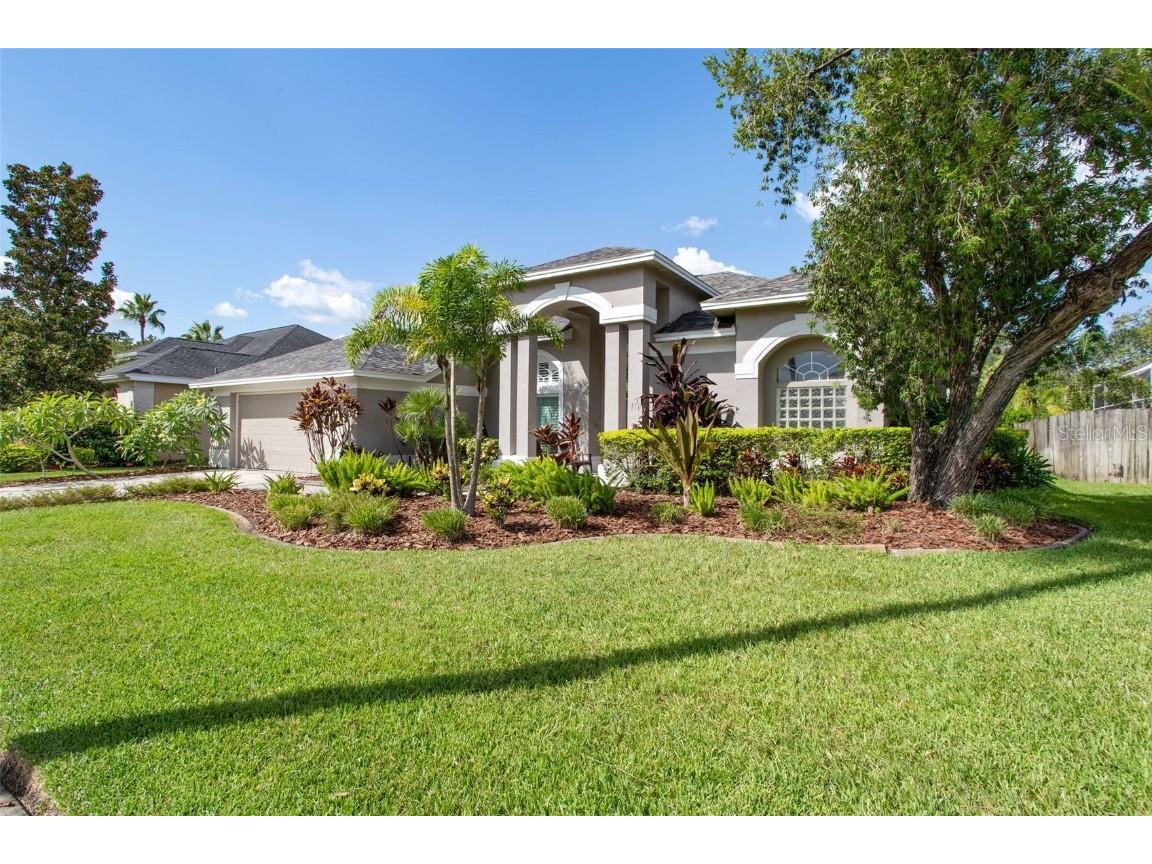 12006 Wandsworth Drive Tampa FL 33626 T3531962 image1