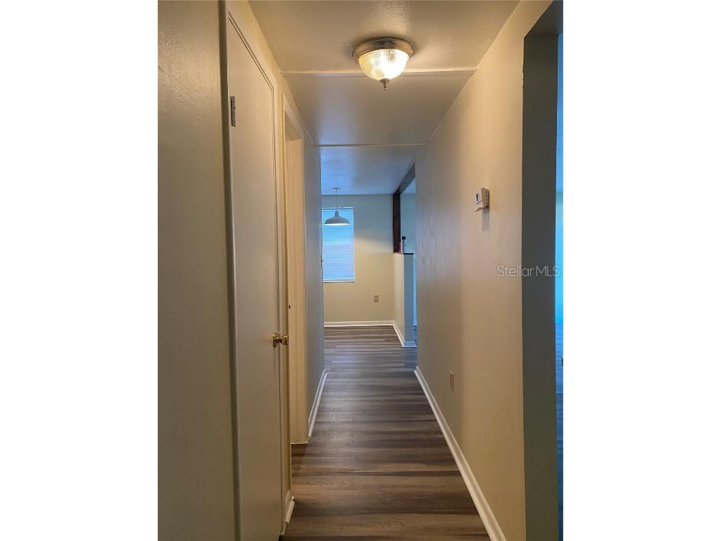 12007 Homerville Lane Seffner FL 33584 TB8421416 image12