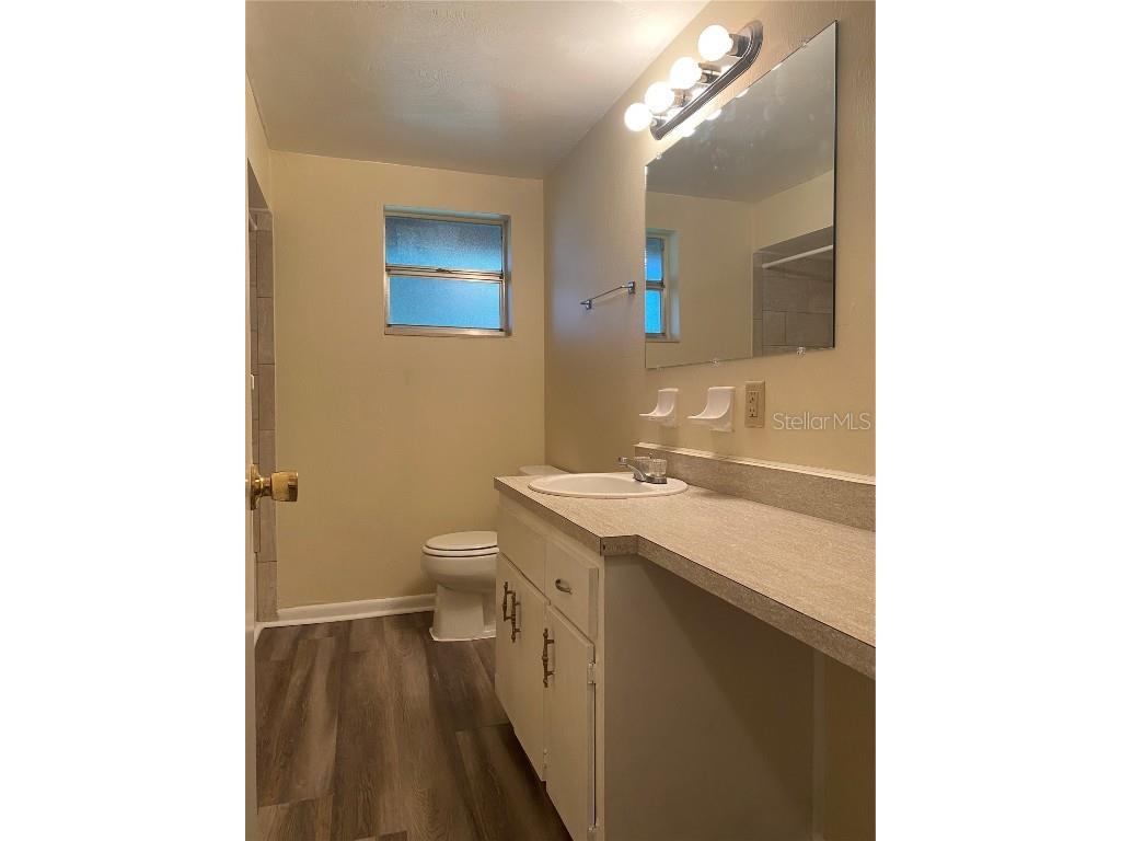 12007 Homerville Lane Seffner FL 33584 TB8421416 image13