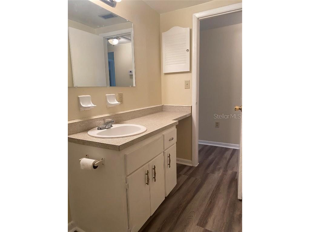 12007 Homerville Lane Seffner FL 33584 TB8421416 image14