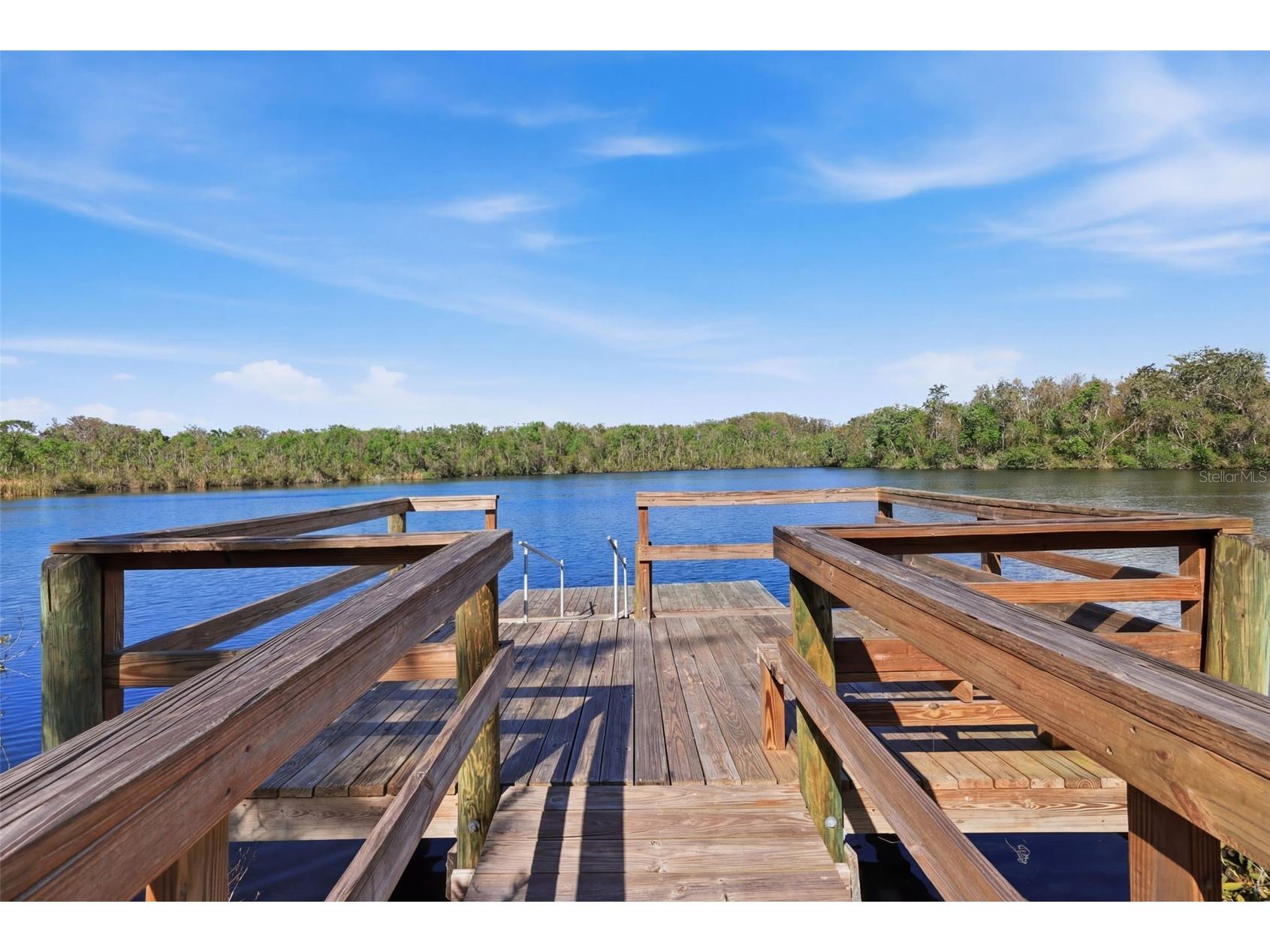 12007 Hunters Lake Drive New Port Richey FL 34654 - Hunters Lake TB8485897 image31