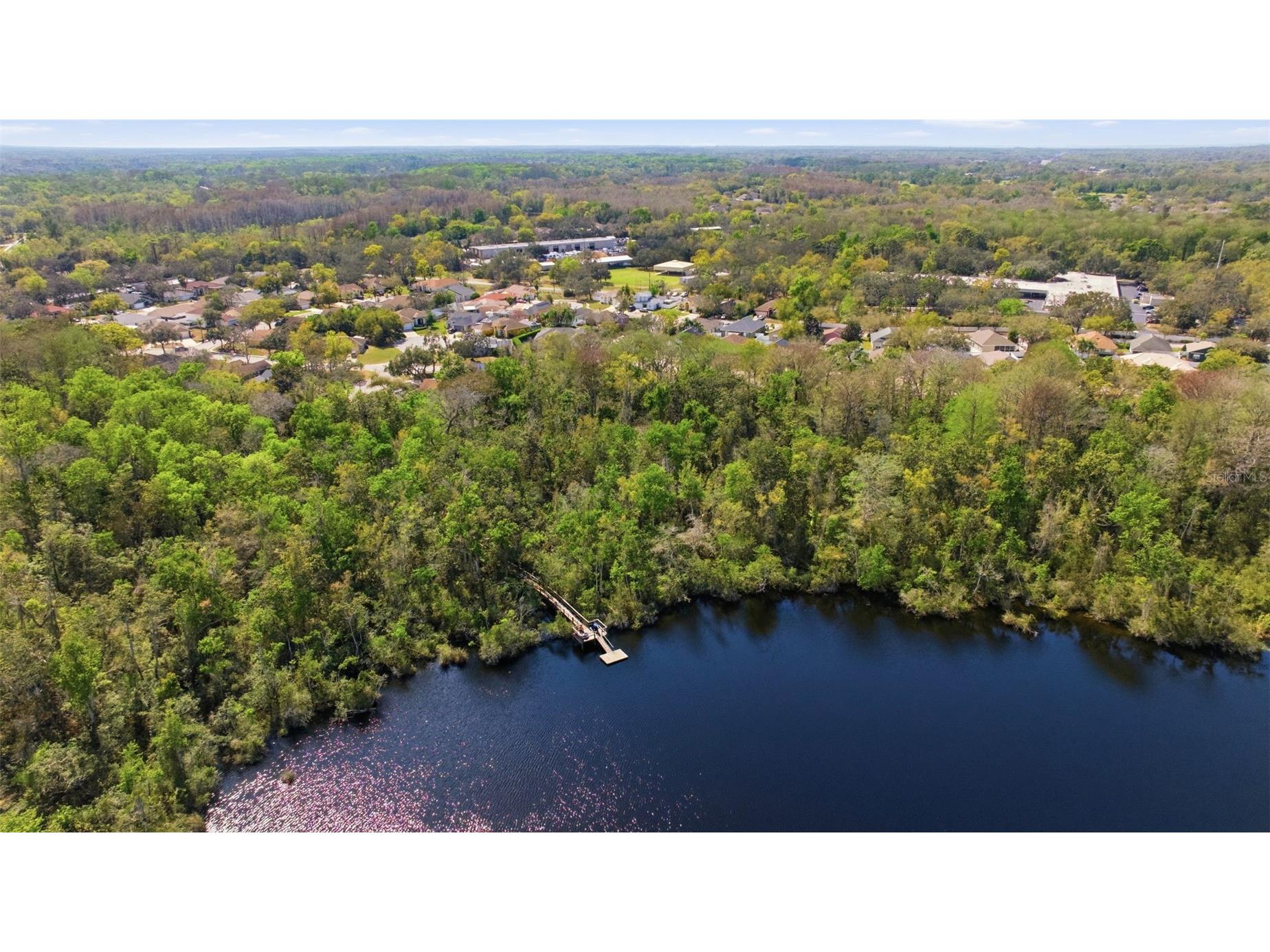 12007 Hunters Lake Drive New Port Richey FL 34654 - Hunters Lake TB8485897 image33
