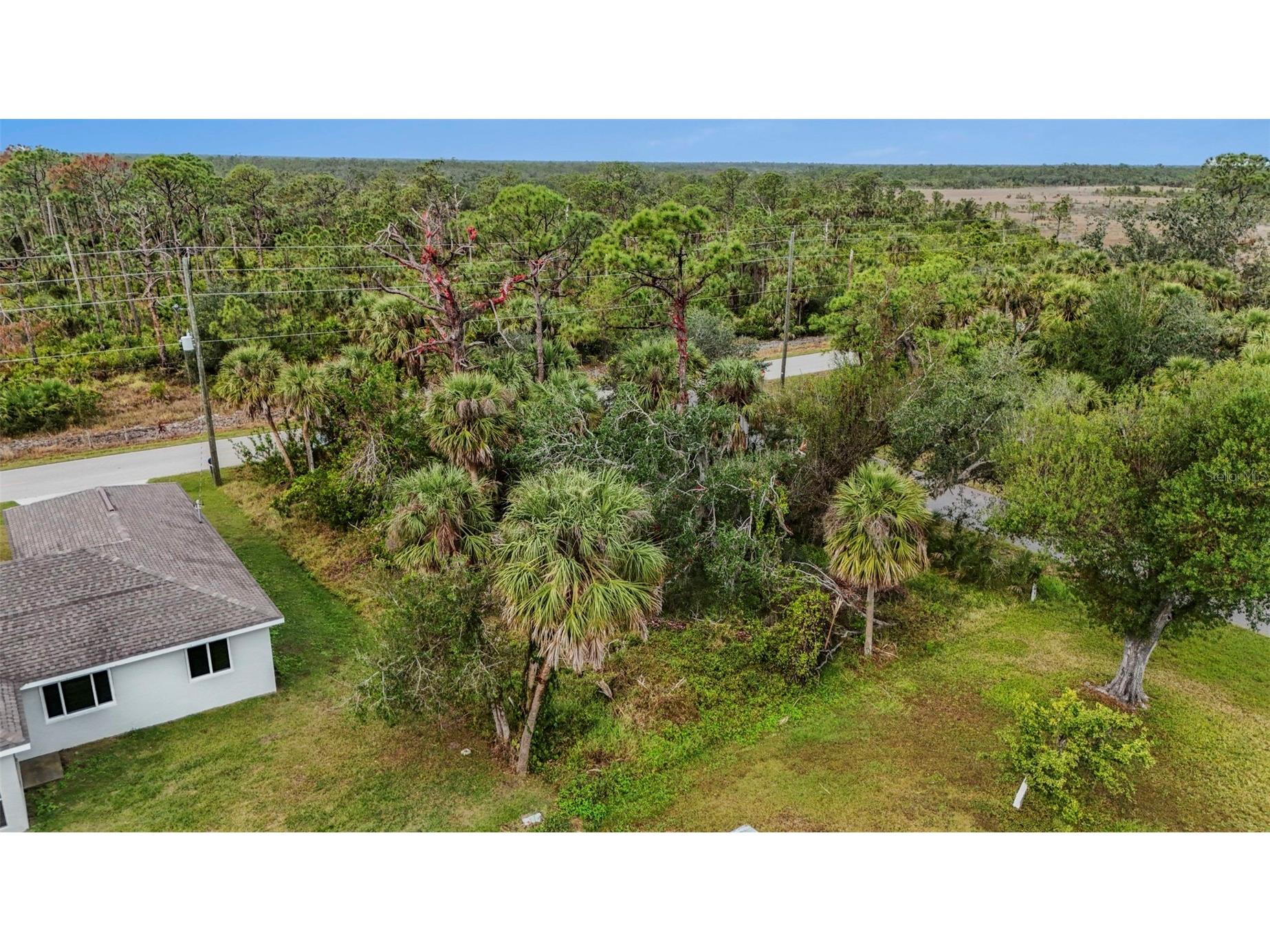 12007 Wadsworth Avenue Port Charlotte FL 33981 D6147656 image4