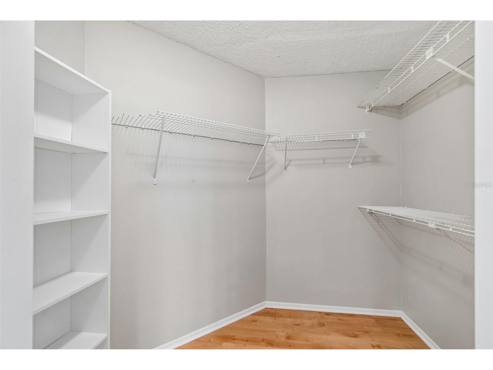12008 Peony Court Tampa FL 33635 TB8525902 image29