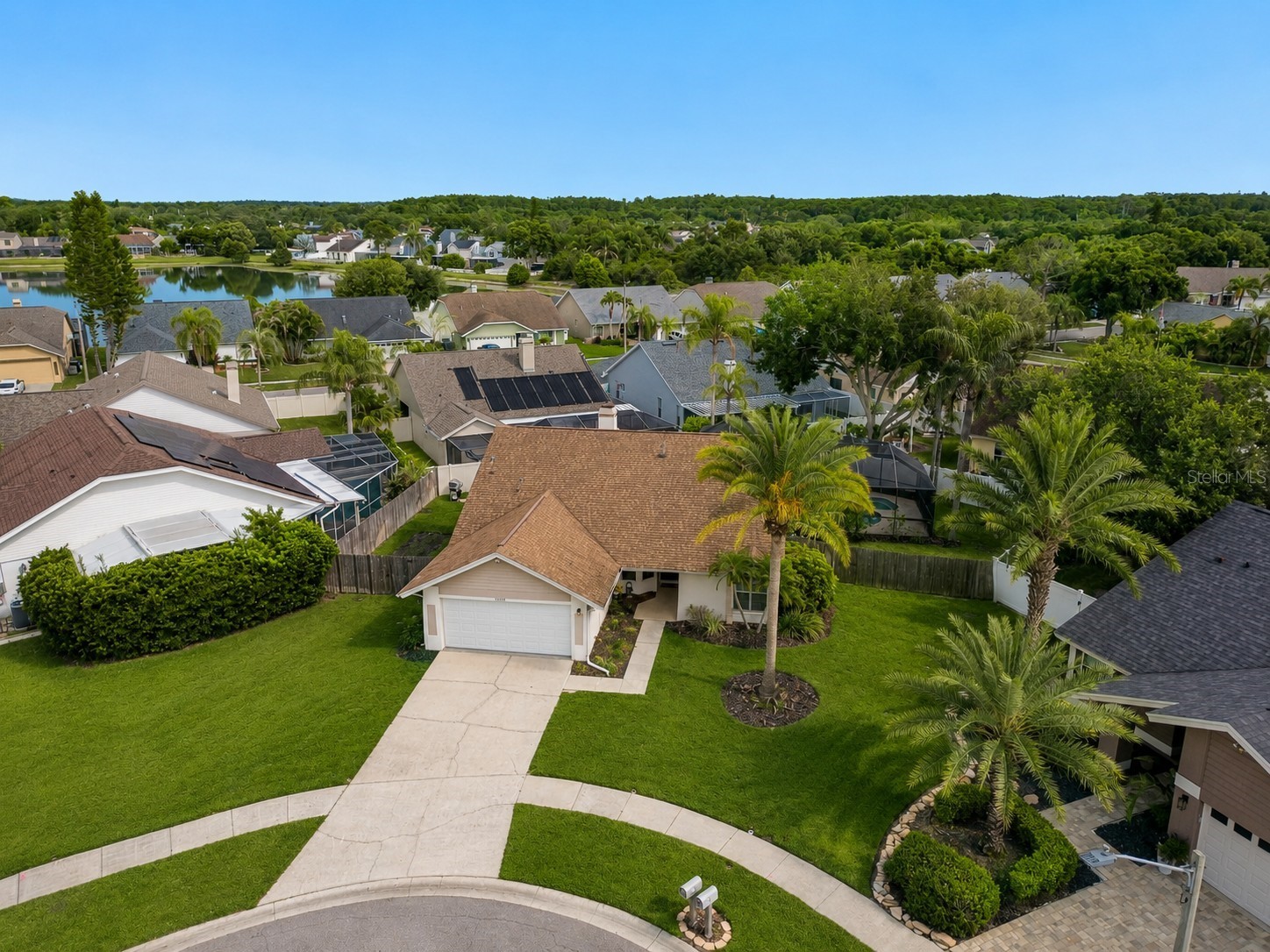 12008 Peony Court Tampa FL 33635 TB8525902 image46
