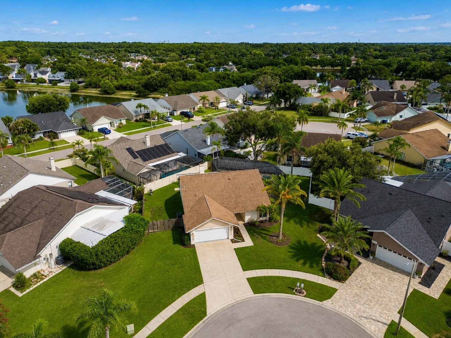 12008 Peony Court Tampa FL 33635 TB8525902 image47