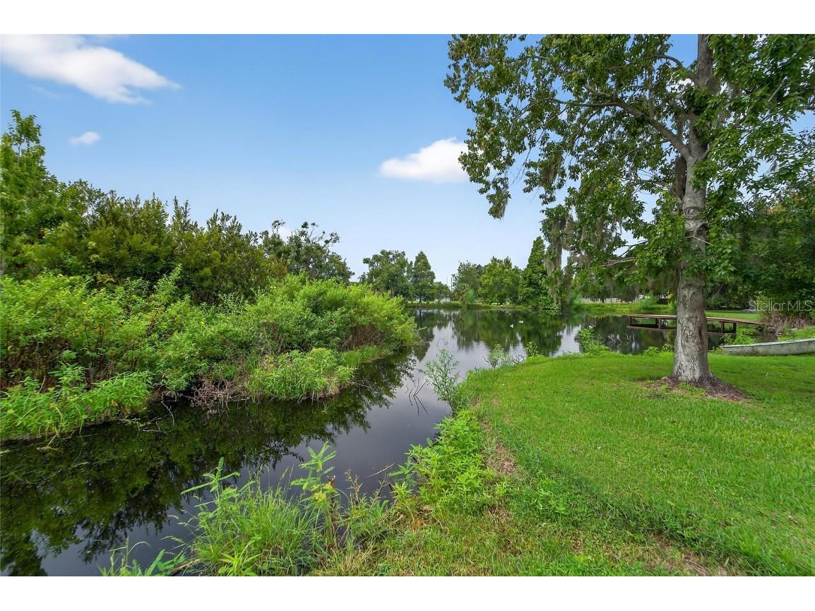 12008 Rose Lane Riverview FL 33569 TB8391736 image15