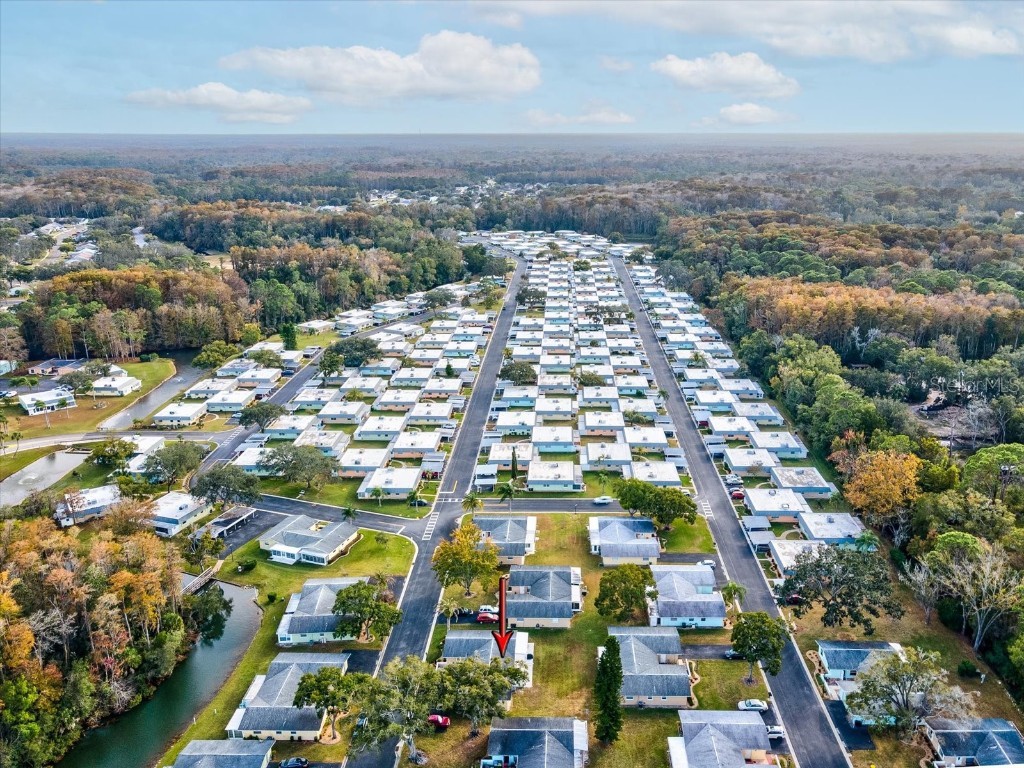 12009 Boynton Lane #12009 New Port Richey FL 34654 W7881161 image34