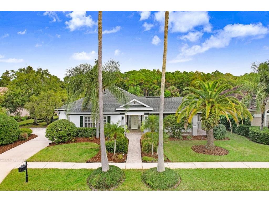 12009 Brewster Drive Tampa FL 33626 TB8432572 image1