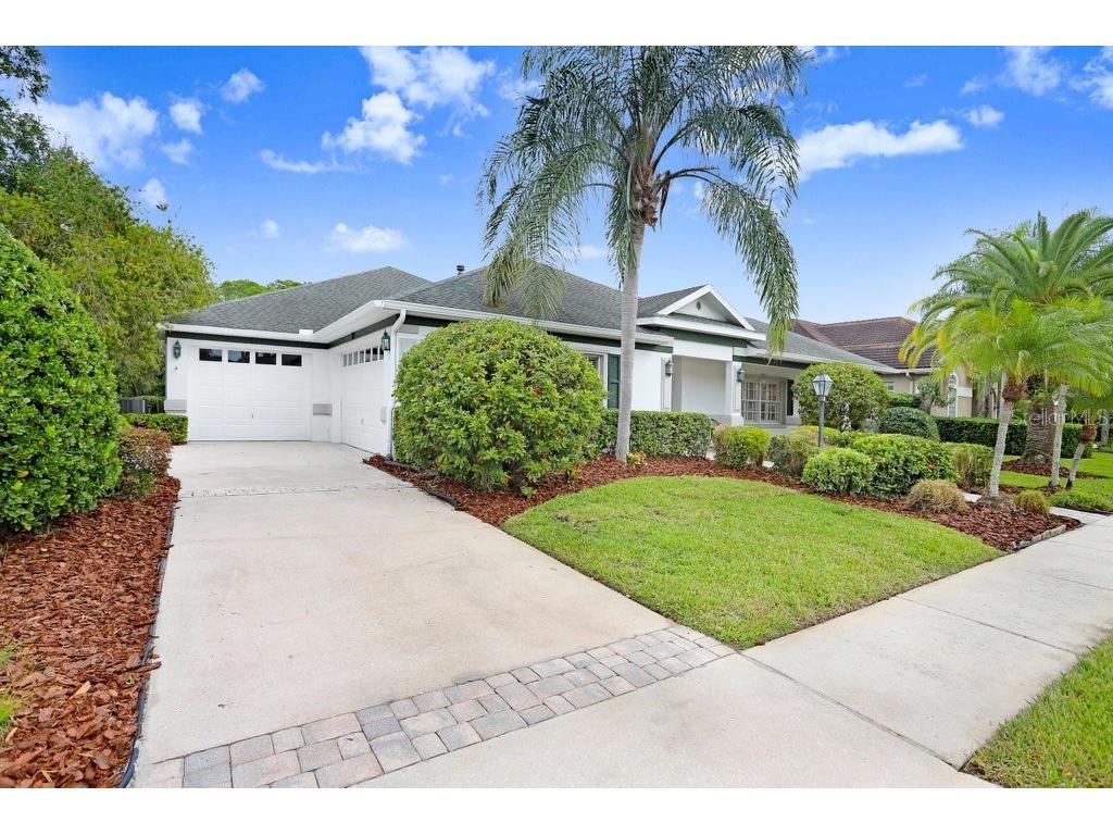 12009 Brewster Drive Tampa FL 33626 TB8432572 image3