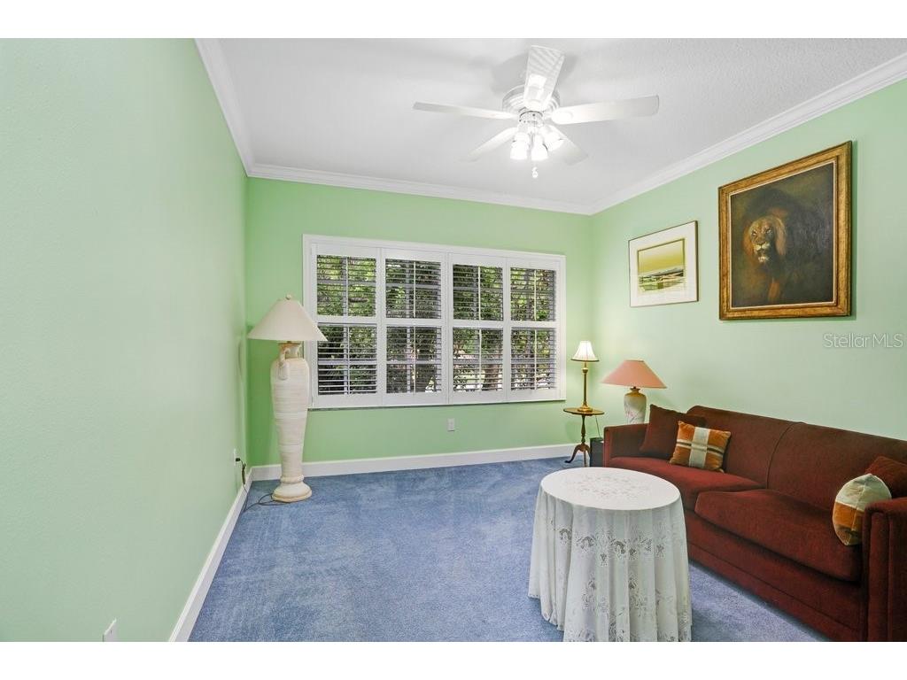 12009 Brewster Drive Tampa FL 33626 TB8432572 image33