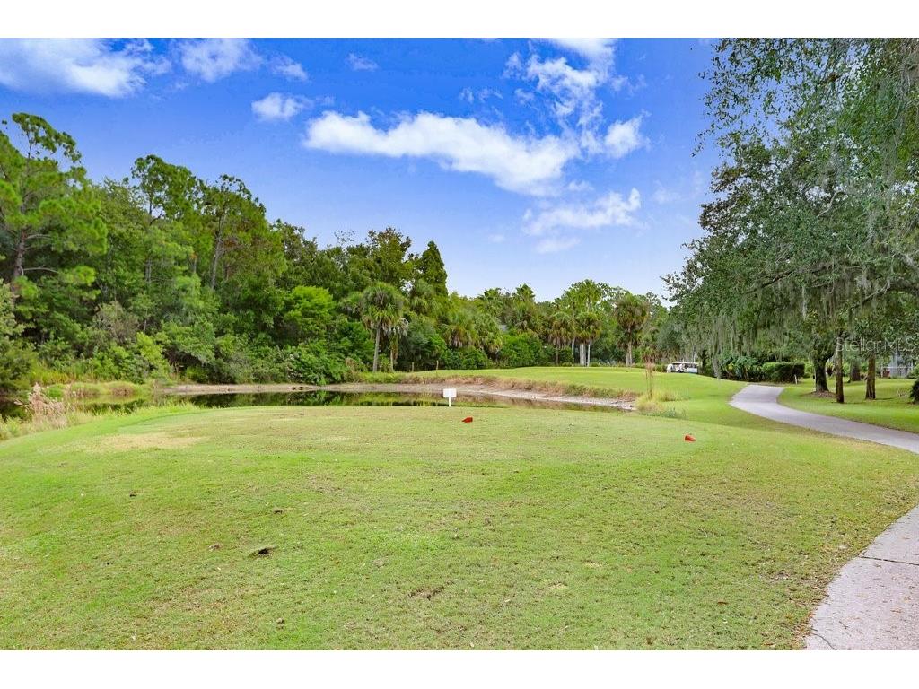 12009 Brewster Drive Tampa FL 33626 TB8432572 image47