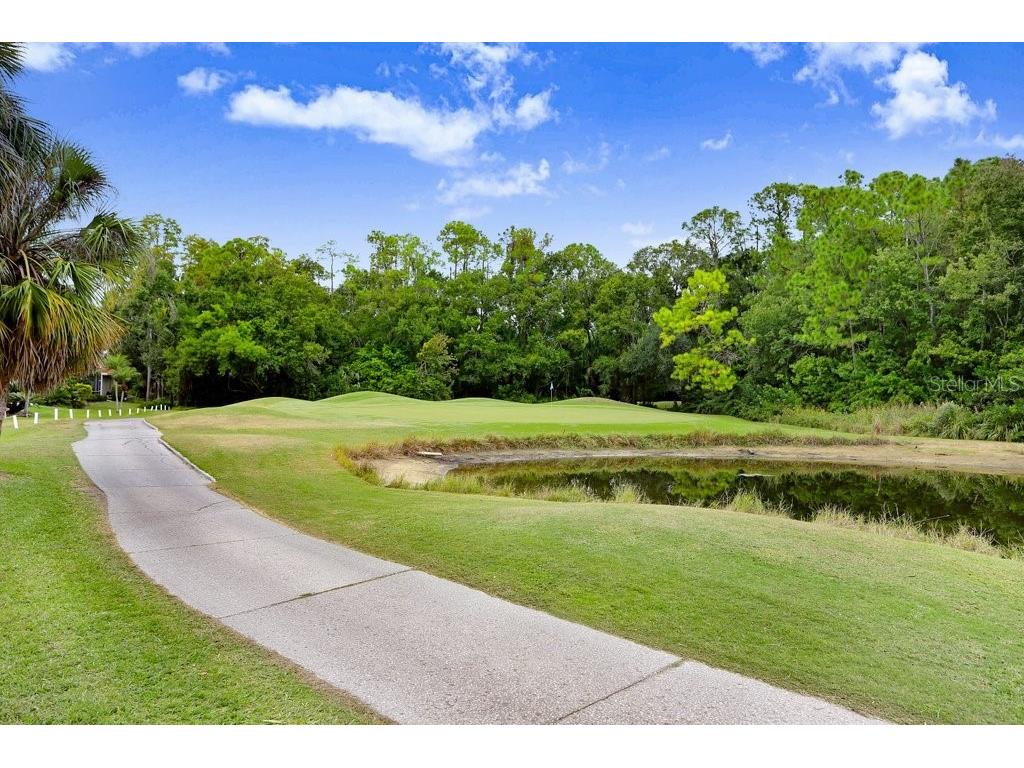 12009 Brewster Drive Tampa FL 33626 TB8432572 image48