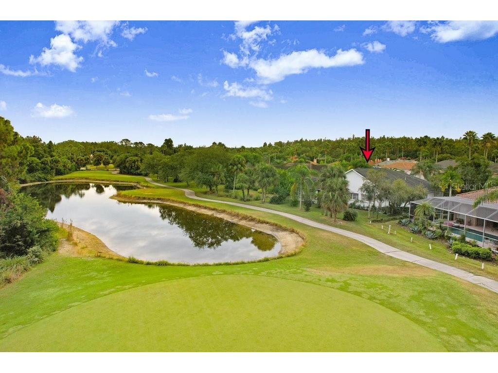 12009 Brewster Drive Tampa FL 33626 TB8432572 image50